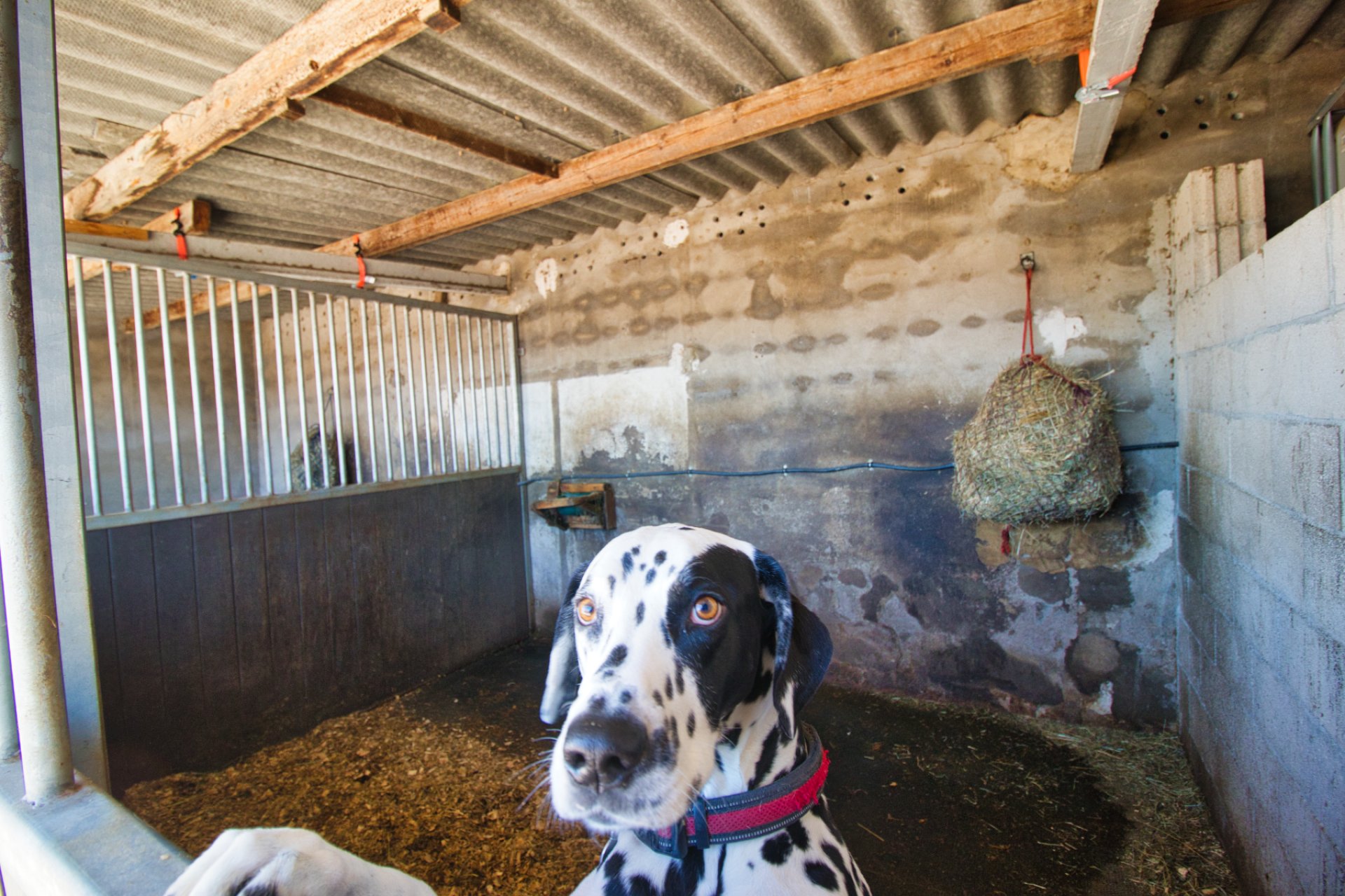 Resale - Country Property -
Monovar - Monóver