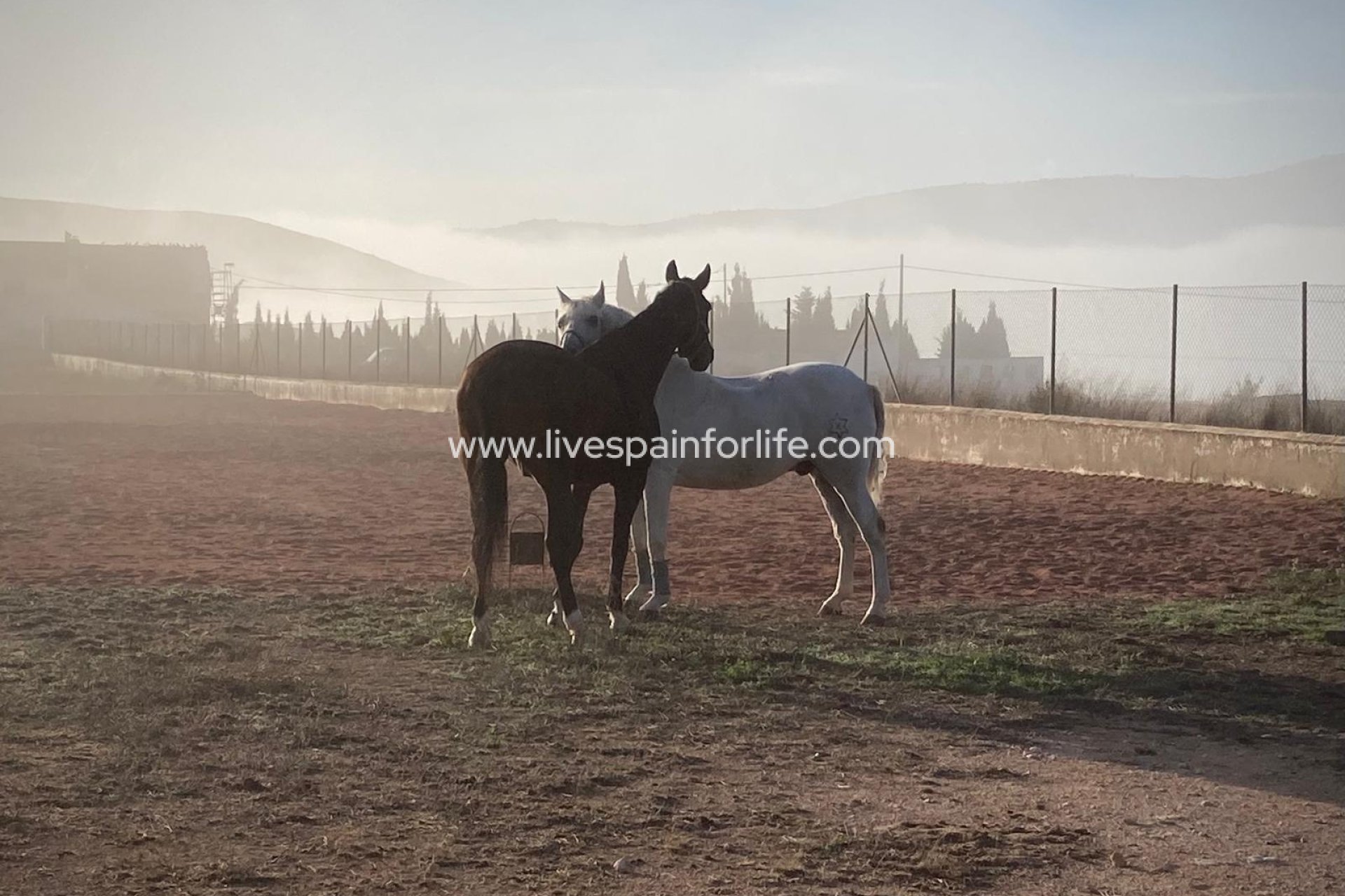 Resale - Country Property -
Murcia