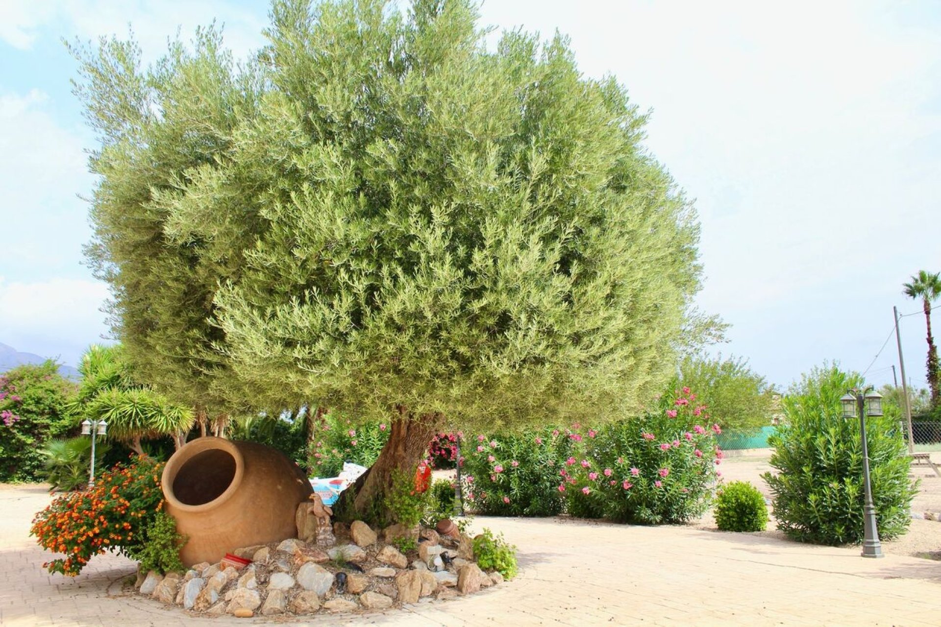 Resale - Country Property -
Orihuela - San Bartolome