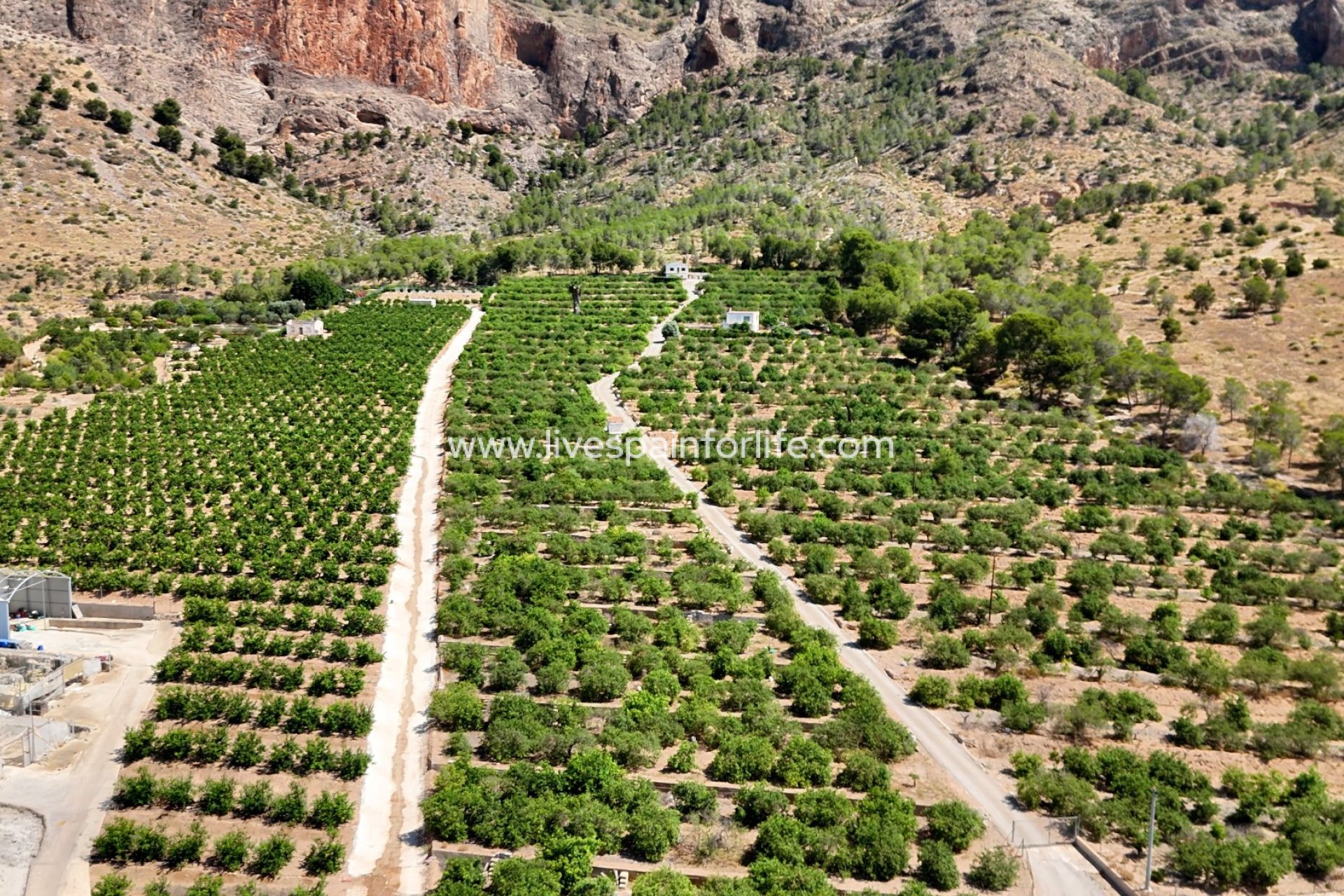 Resale - Country Property -
Orihuela