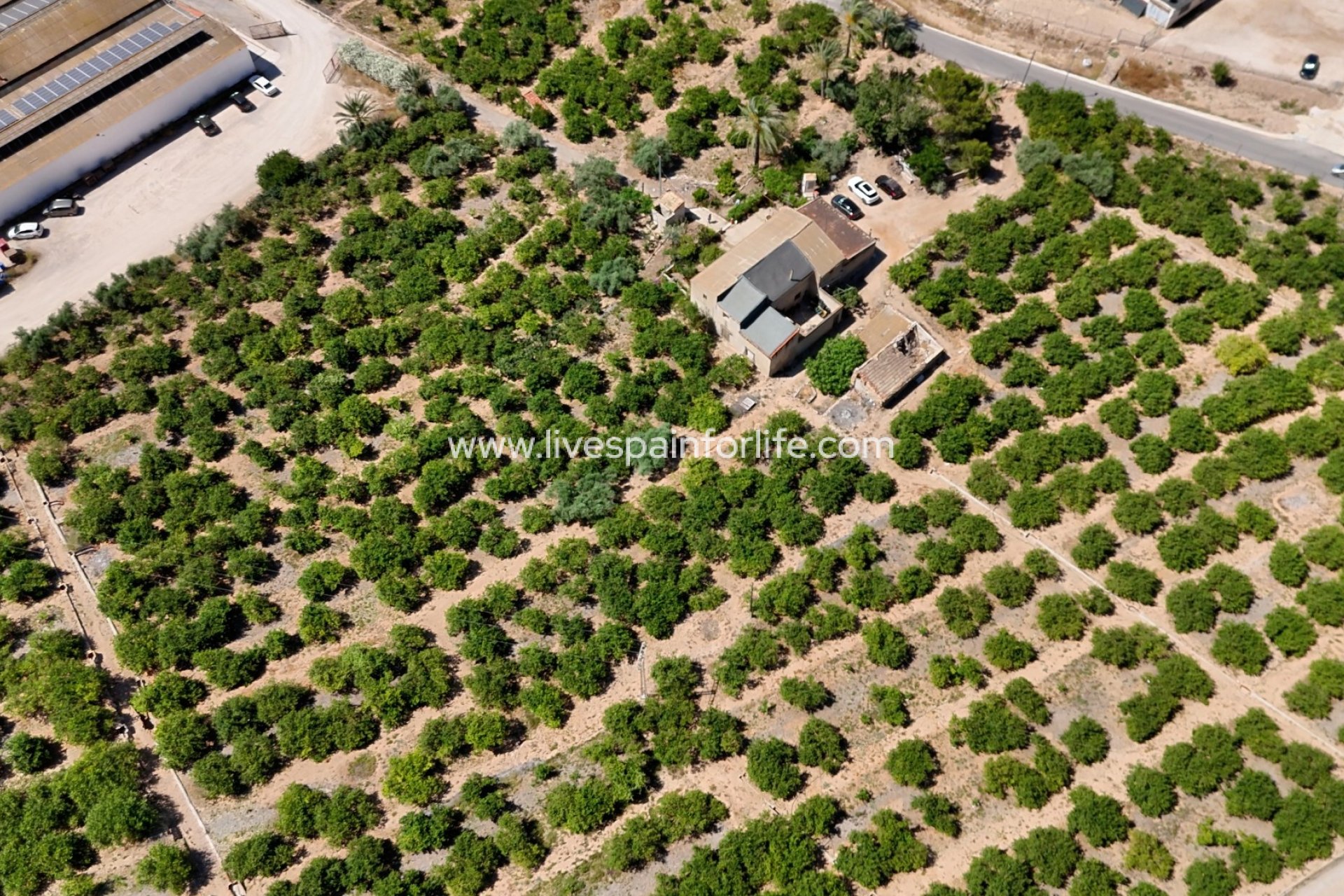 Resale - Country Property -
Orihuela