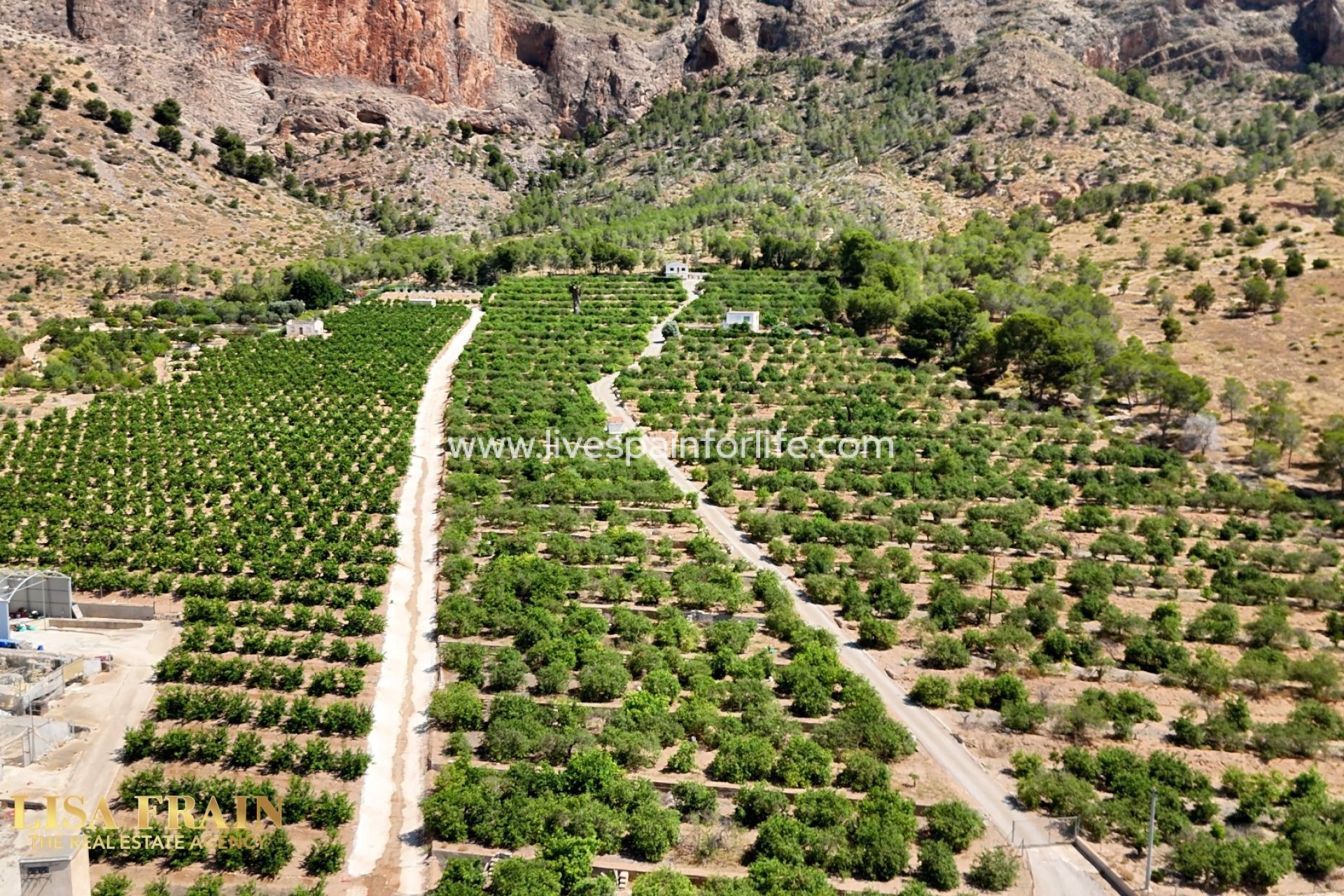 Resale - Country Property -
Orihuela