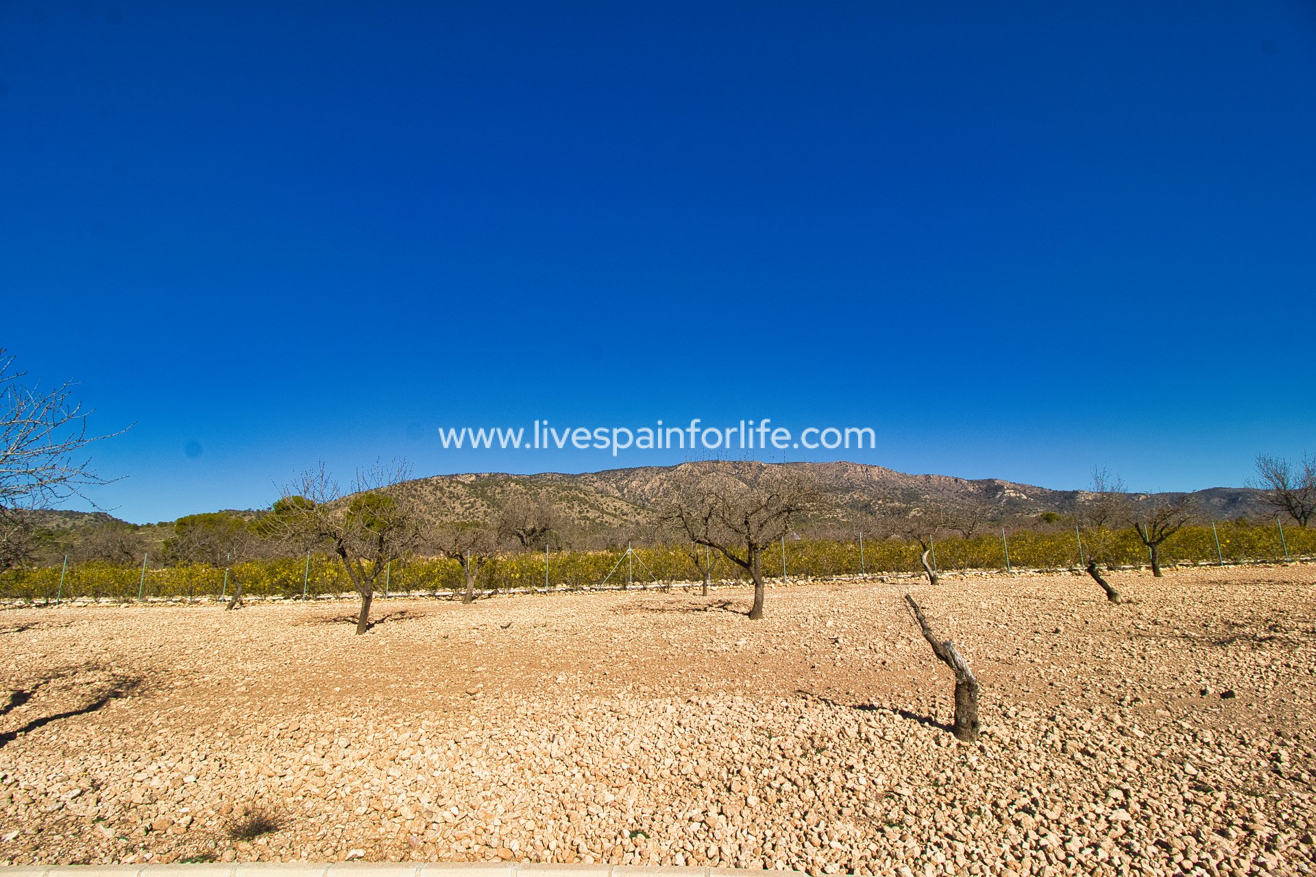 Resale - Country Property -
Pinoso