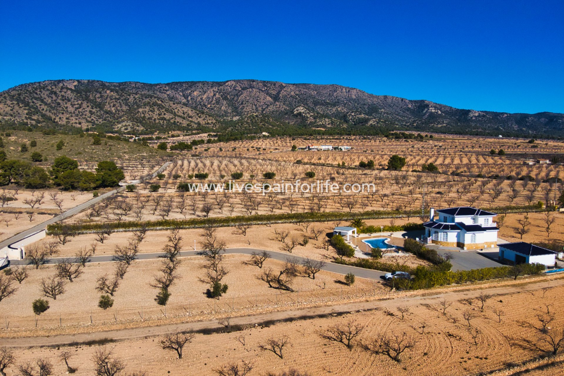 Resale - Country Property -
Pinoso