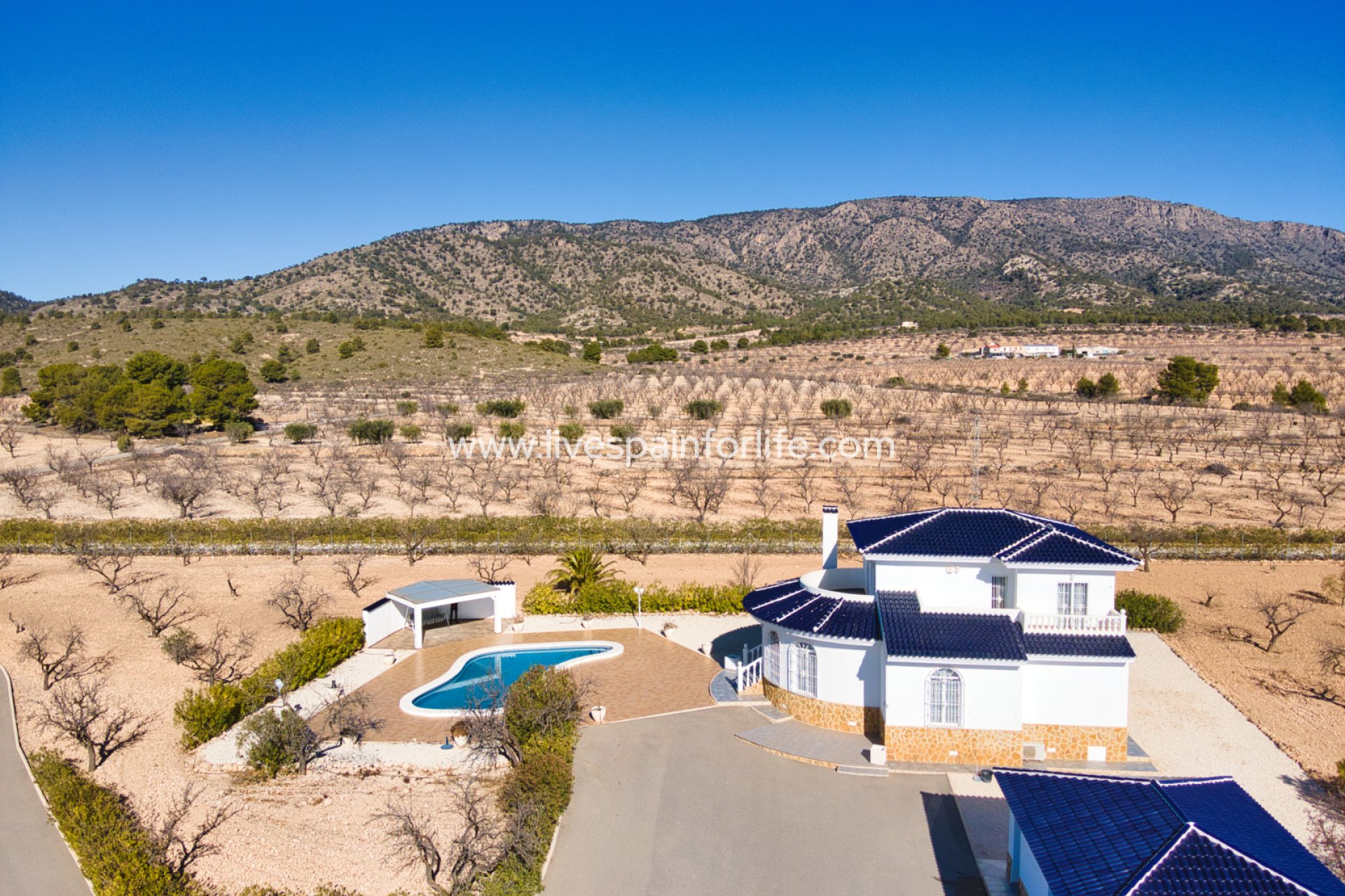 Resale - Country Property -
Pinoso