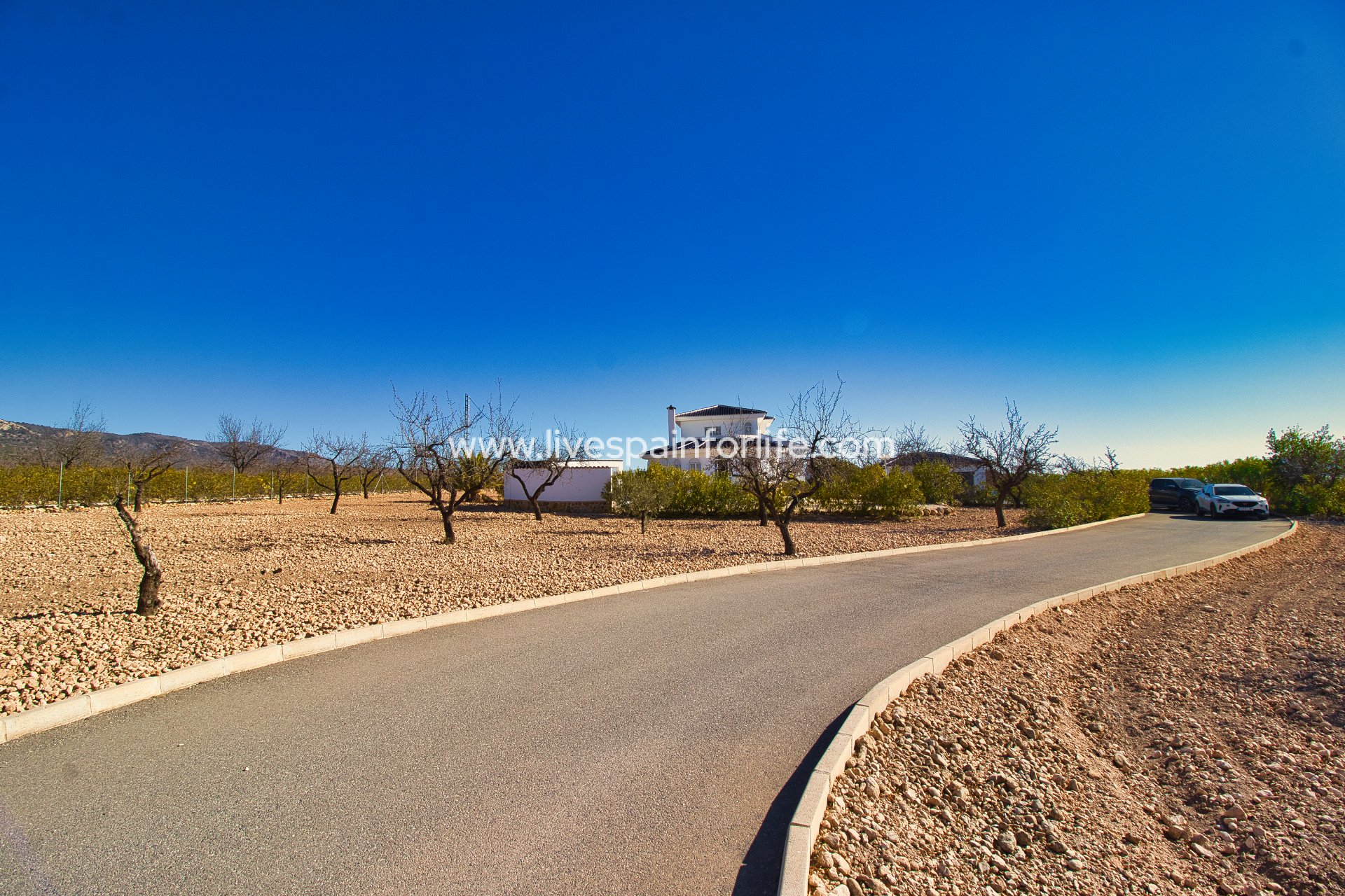 Resale - Country Property -
Pinoso