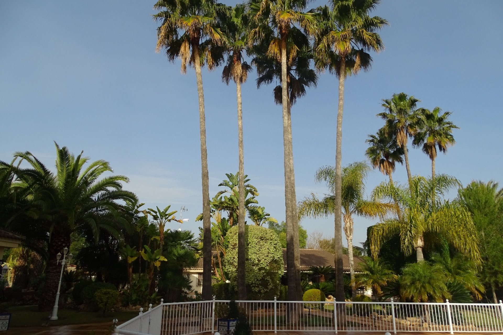 Resale - Country Property -
Santa Pola
