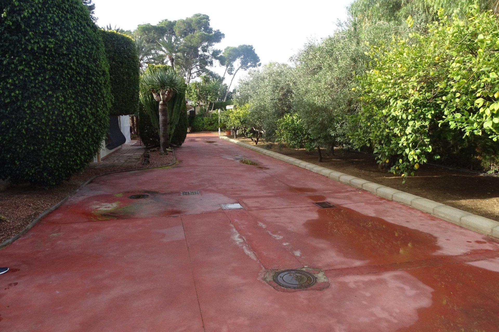 Resale - Country Property -
Santa Pola