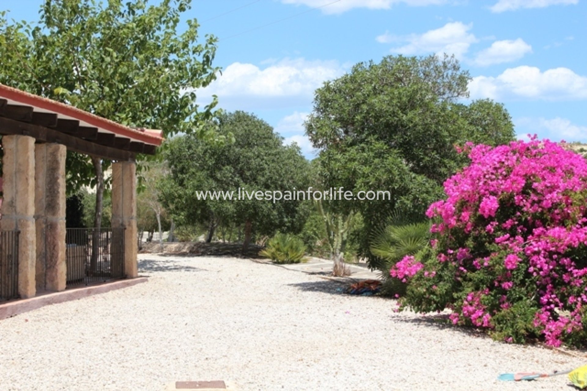 Resale - Country Property -
Torremendo