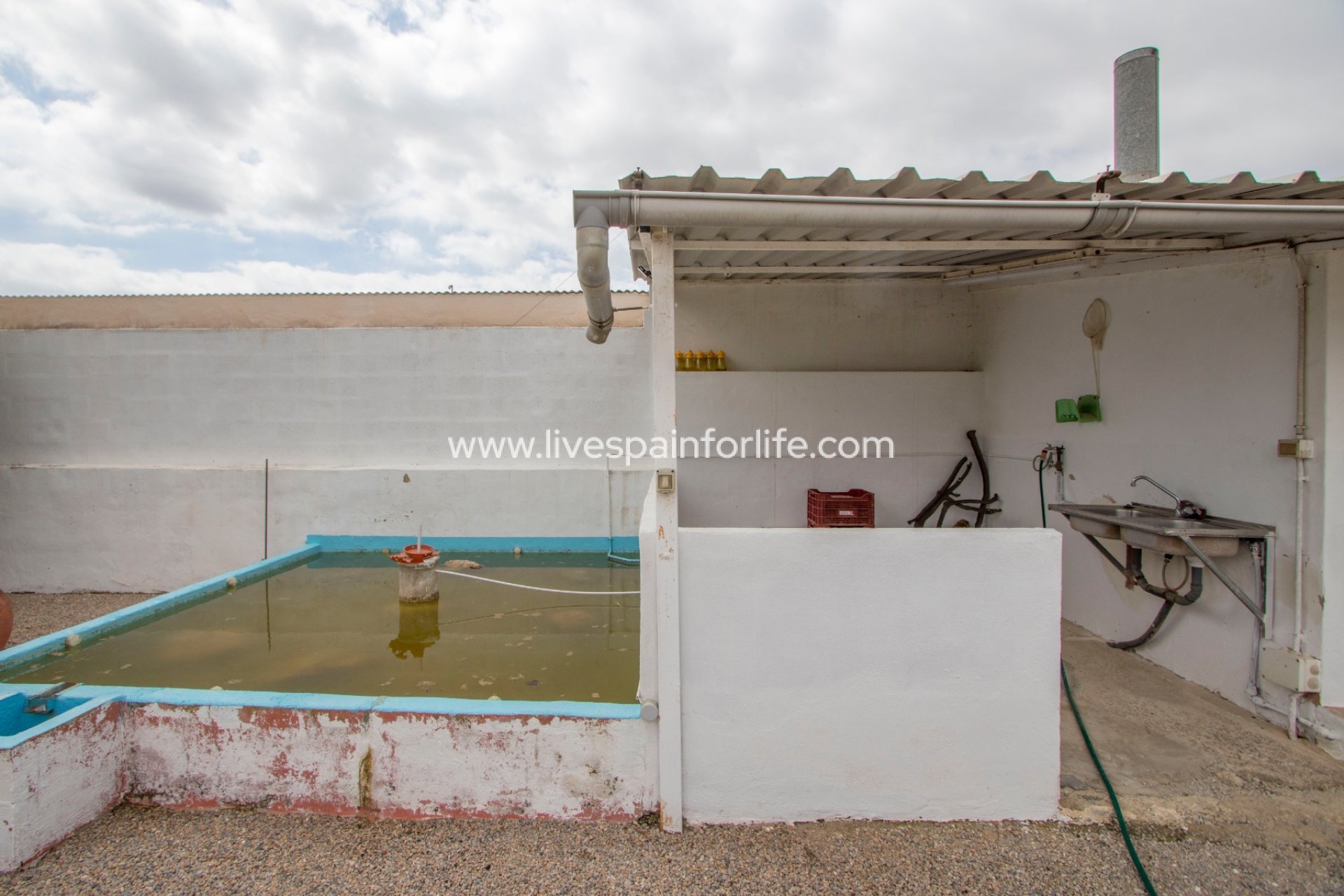 Resale - Equestrian -
Albatera