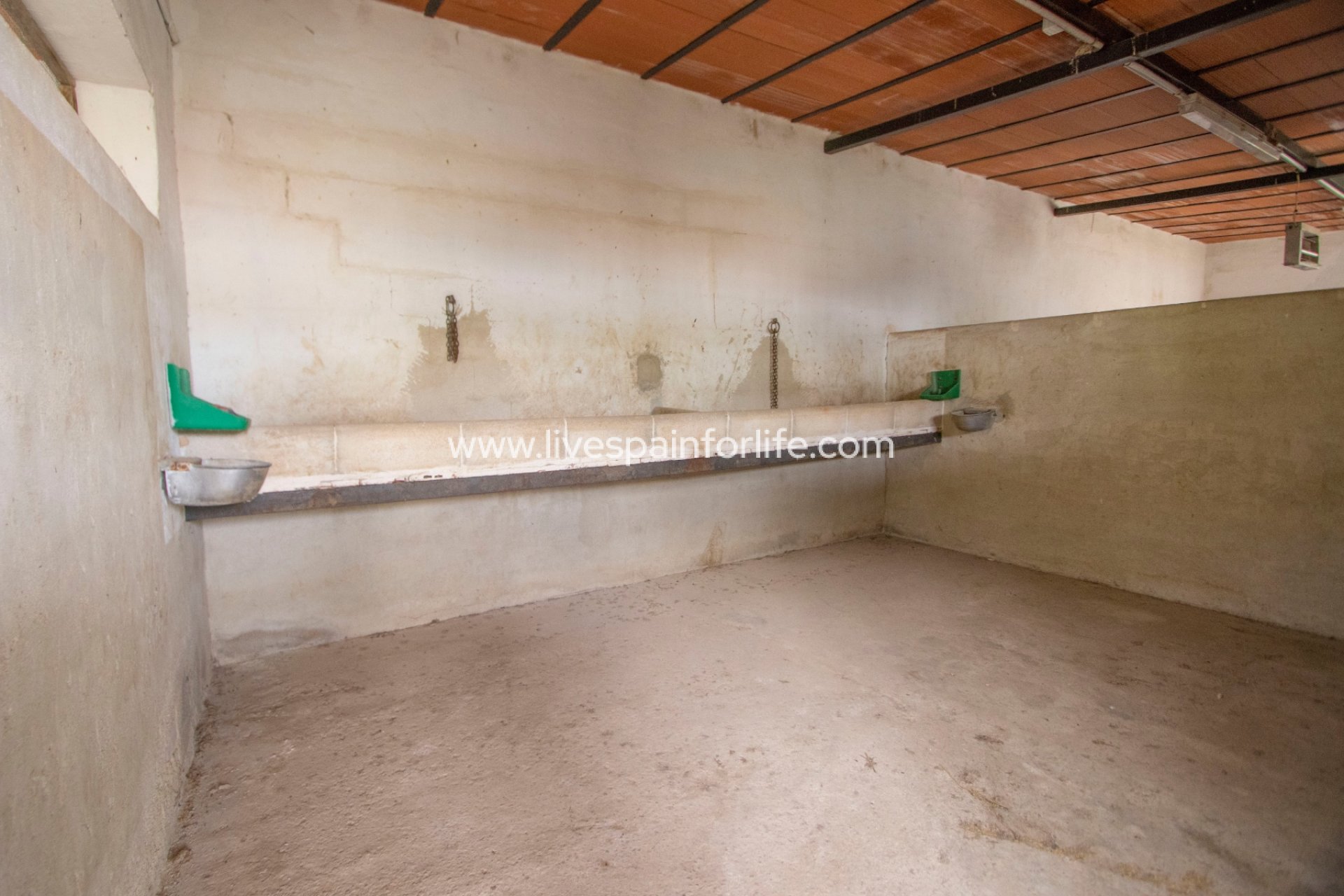 Resale - Equestrian -
Albatera