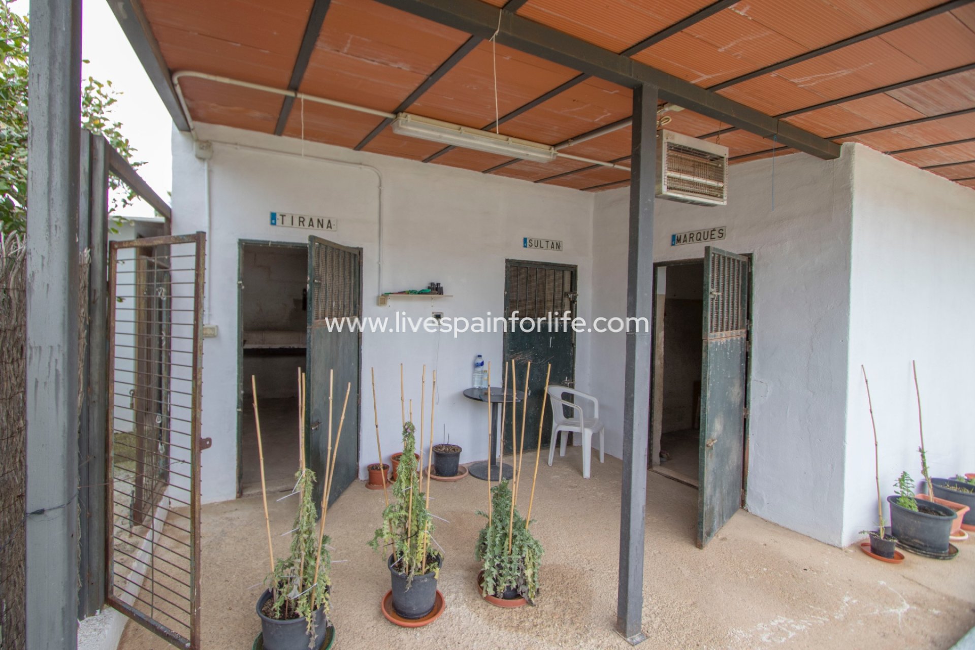 Resale - Equestrian -
Albatera