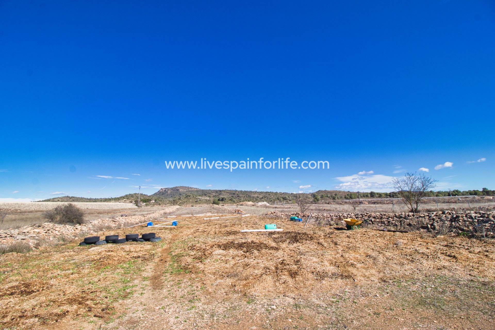 Resale - Equestrian -
Alicante