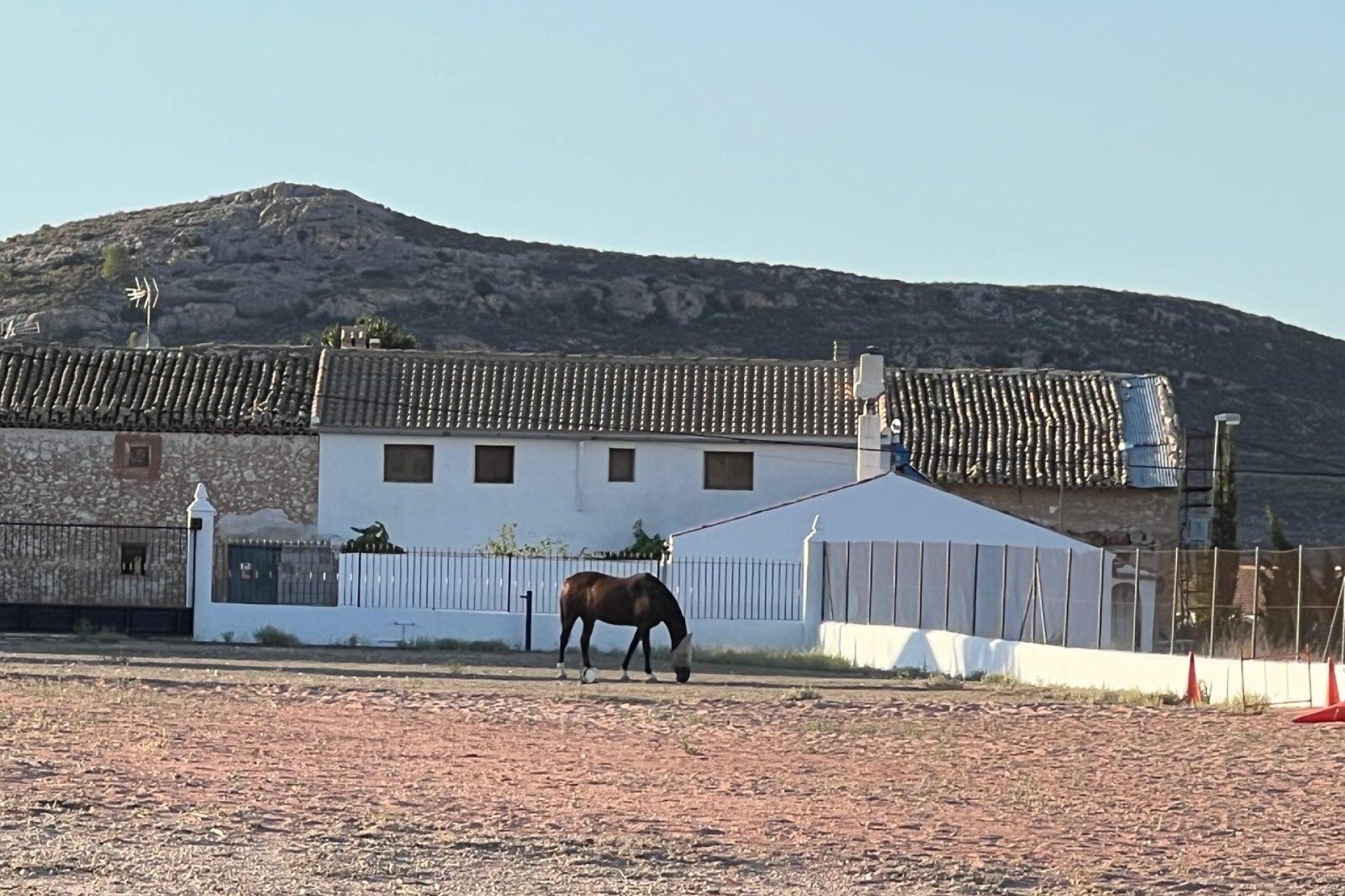Resale - Equestrian -
Jumilla - Torre del Rico