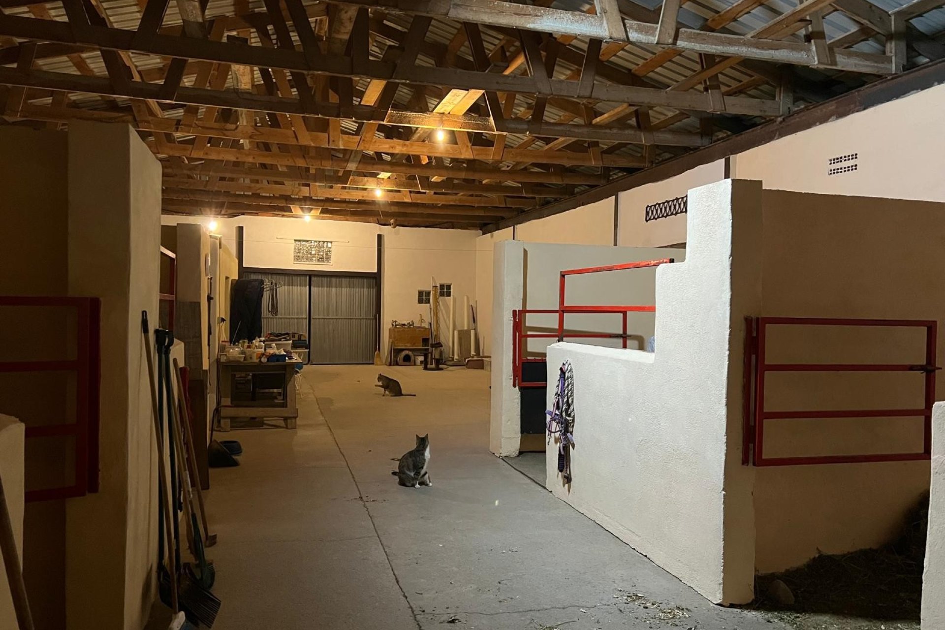 Resale - Equestrian -
Jumilla - Torre del Rico