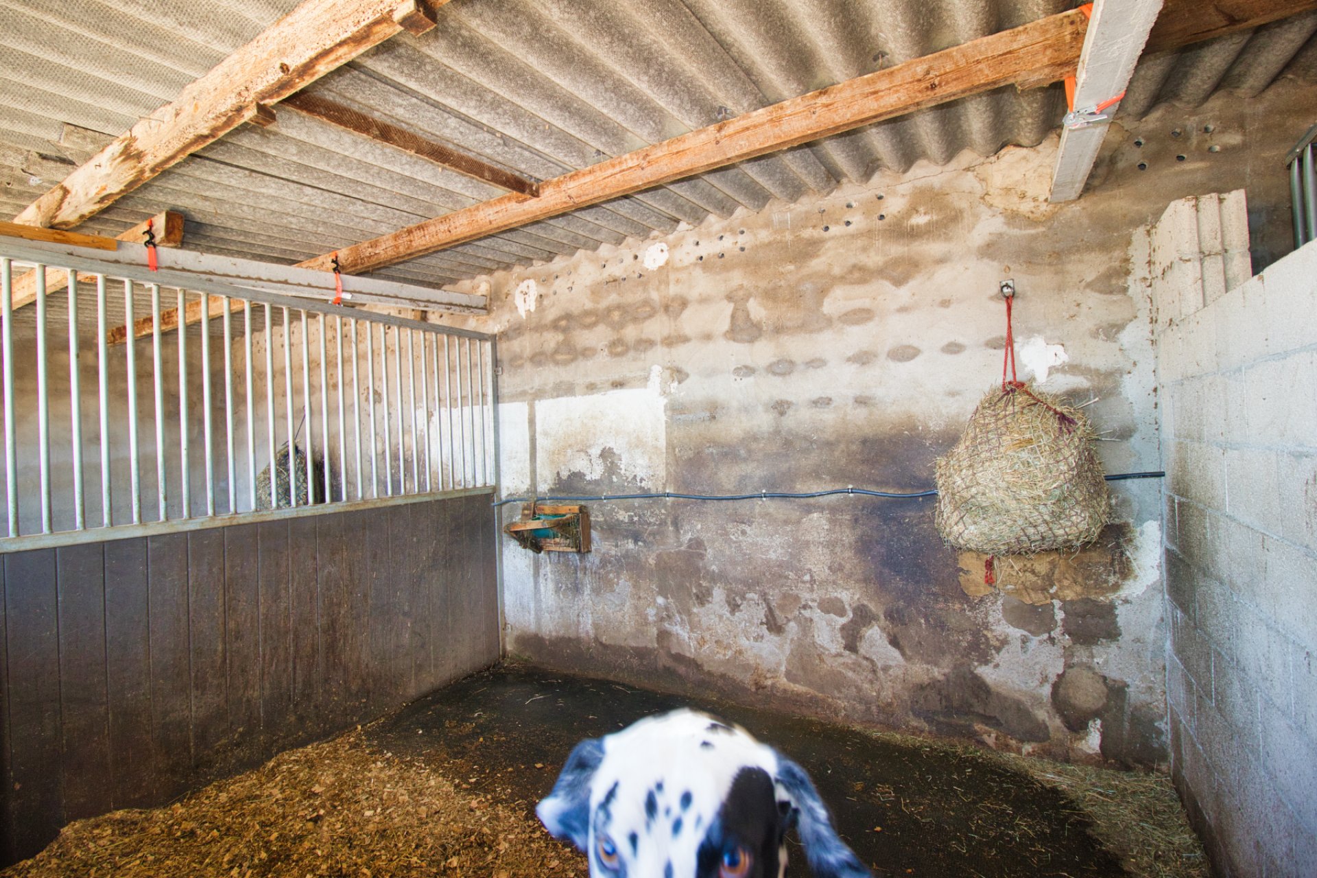 Resale - Equestrian -
Monovar - Monóver