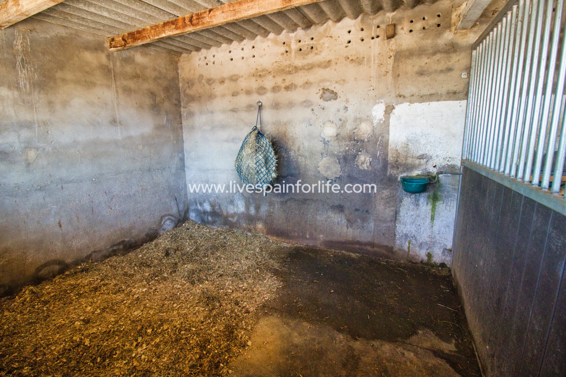 Resale - Equestrian -
Monovar - Monóver