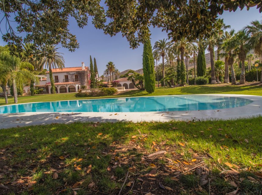 Resale - Equestrian -
Novelda