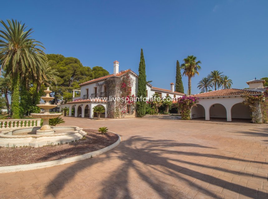 Resale - Equestrian -
Novelda