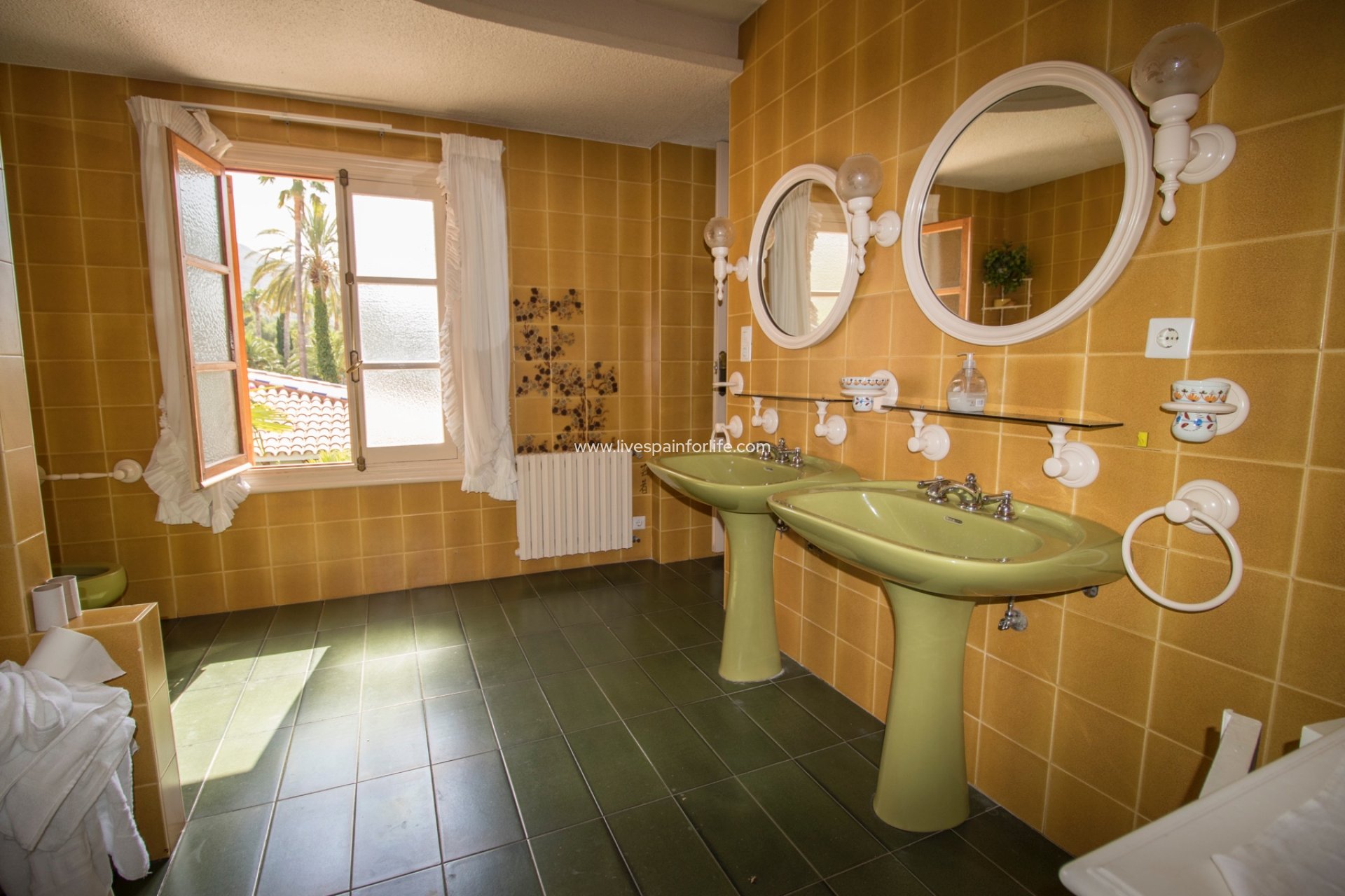 Resale - Equestrian -
Novelda