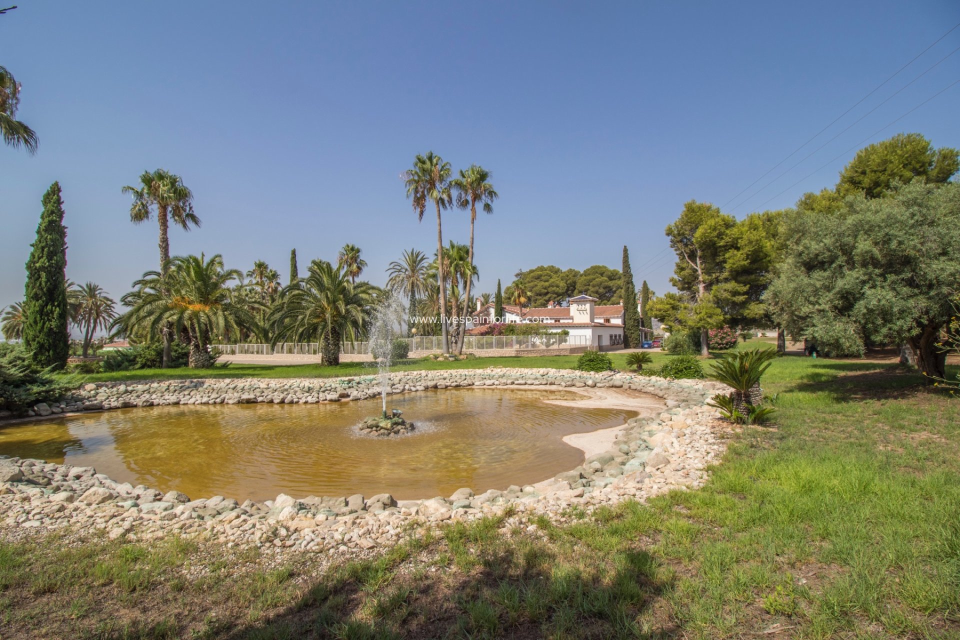 Resale - Equestrian -
Novelda