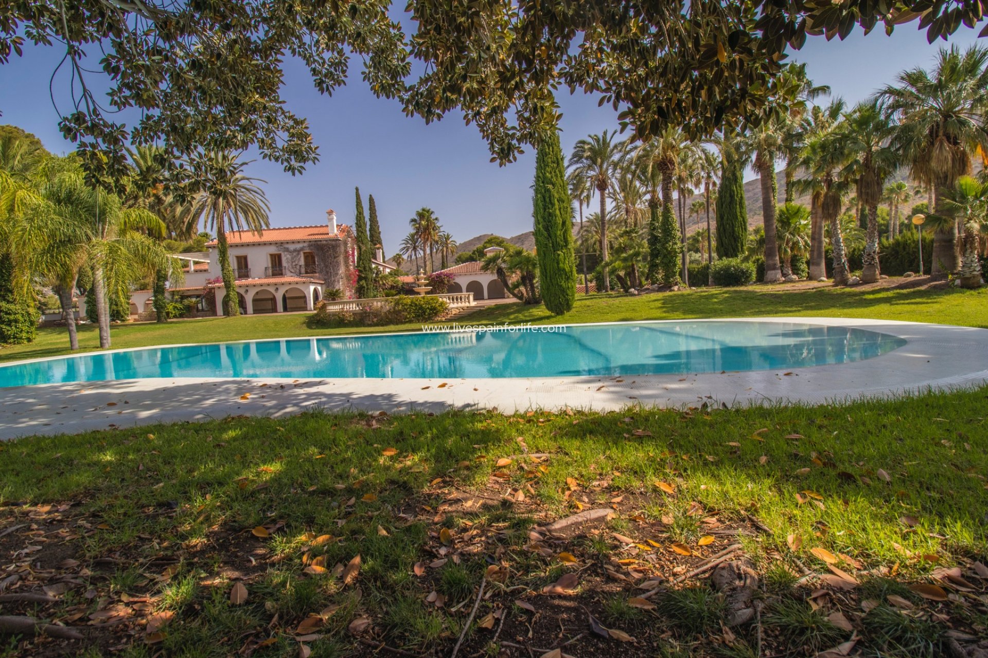 Resale - Equestrian -
Novelda