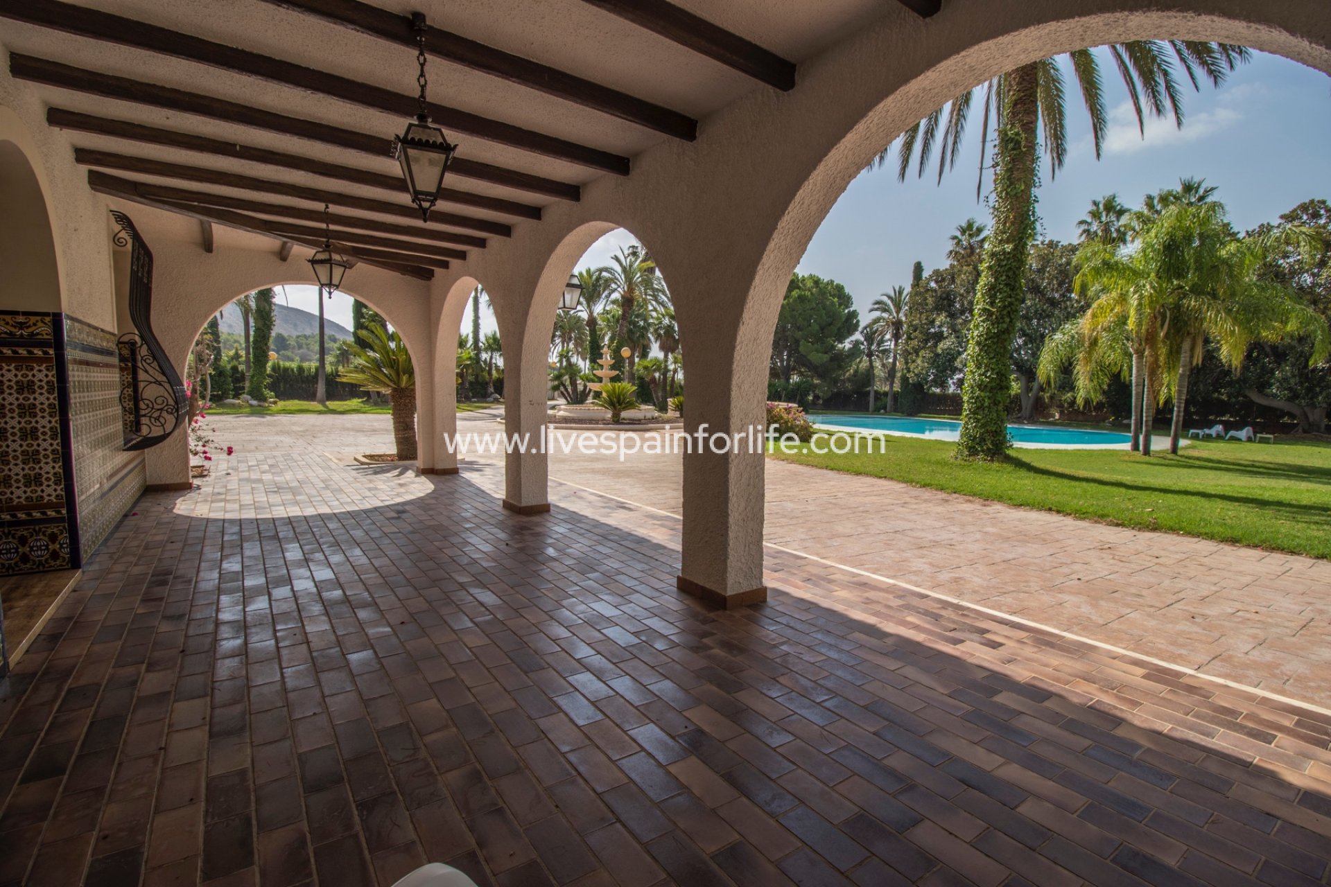 Resale - Equestrian -
Novelda