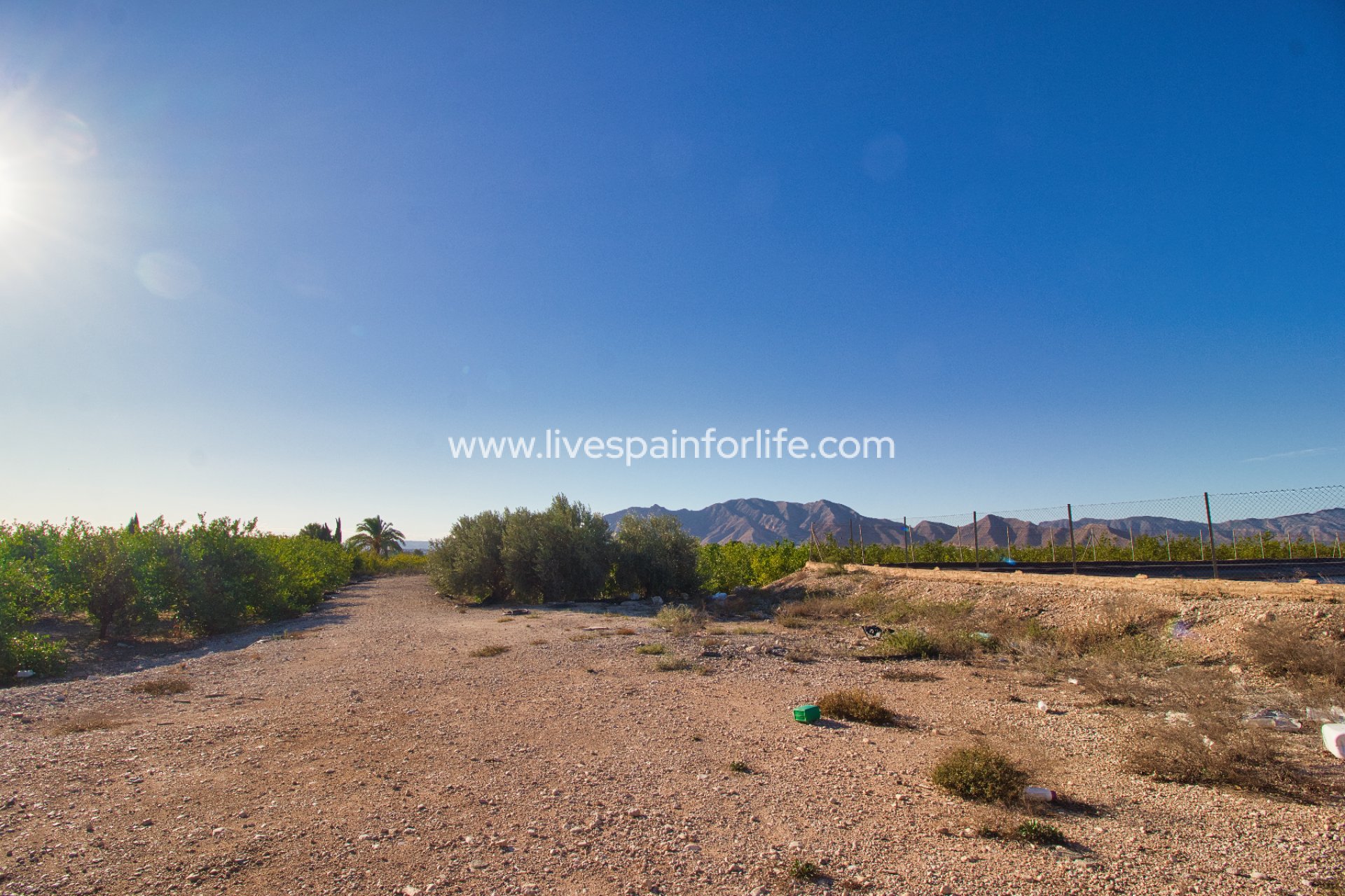 Resale - Plot of Land -
Albatera