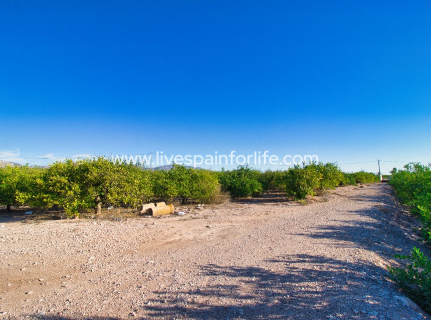 Resale - Plot of Land -
Albatera