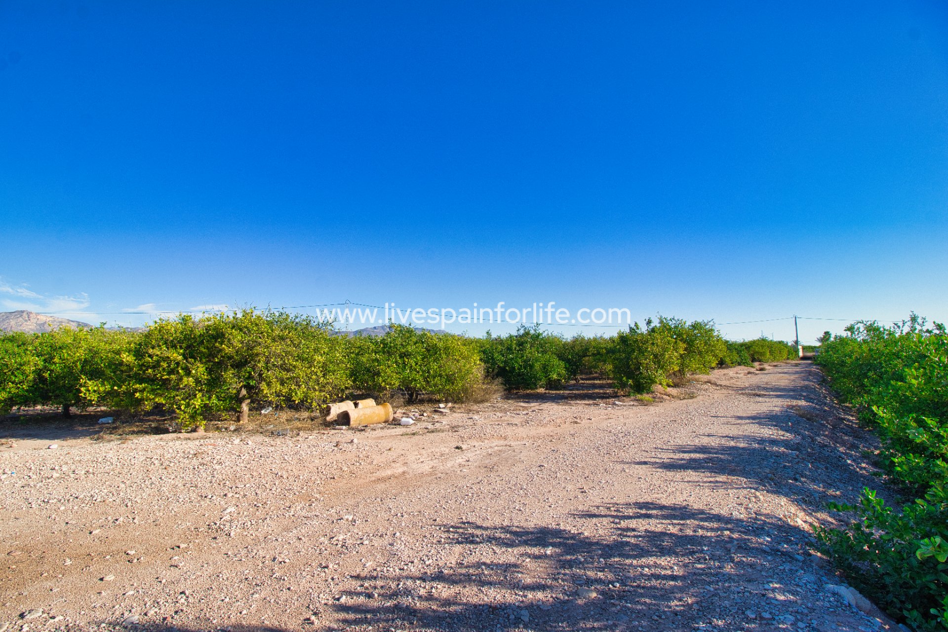 Resale - Plot of Land -
Albatera