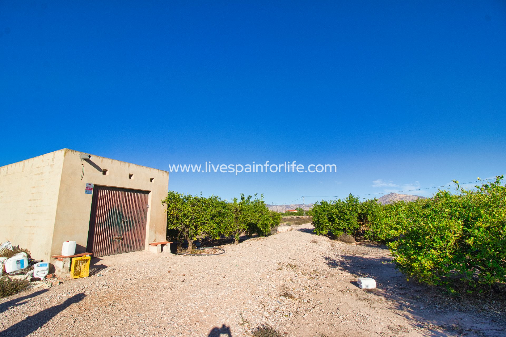 Resale - Plot of Land -
Albatera