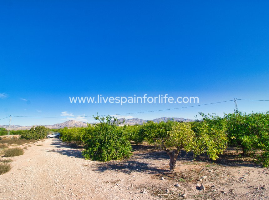 Resale - Plot of Land -
Albatera