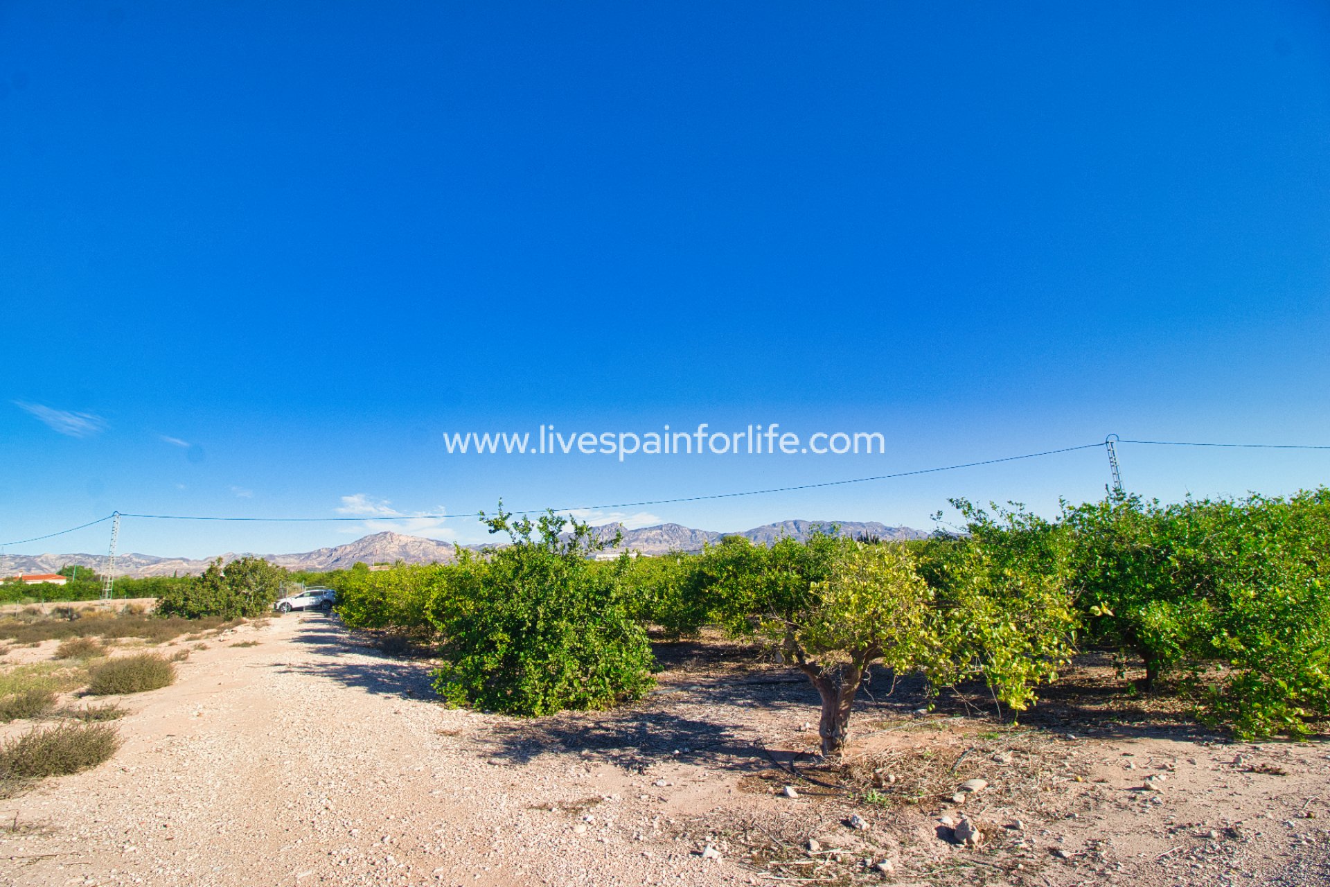 Resale - Plot of Land -
Albatera