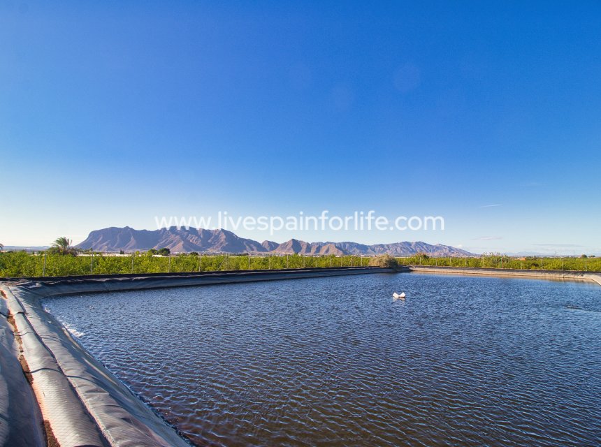 Resale - Plot of Land -
Albatera