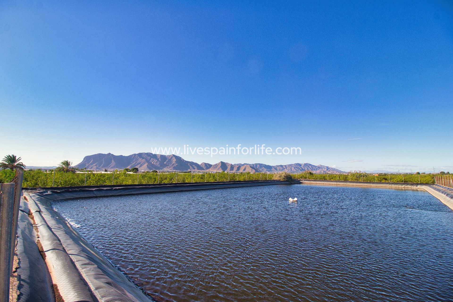 Resale - Plot of Land -
Albatera