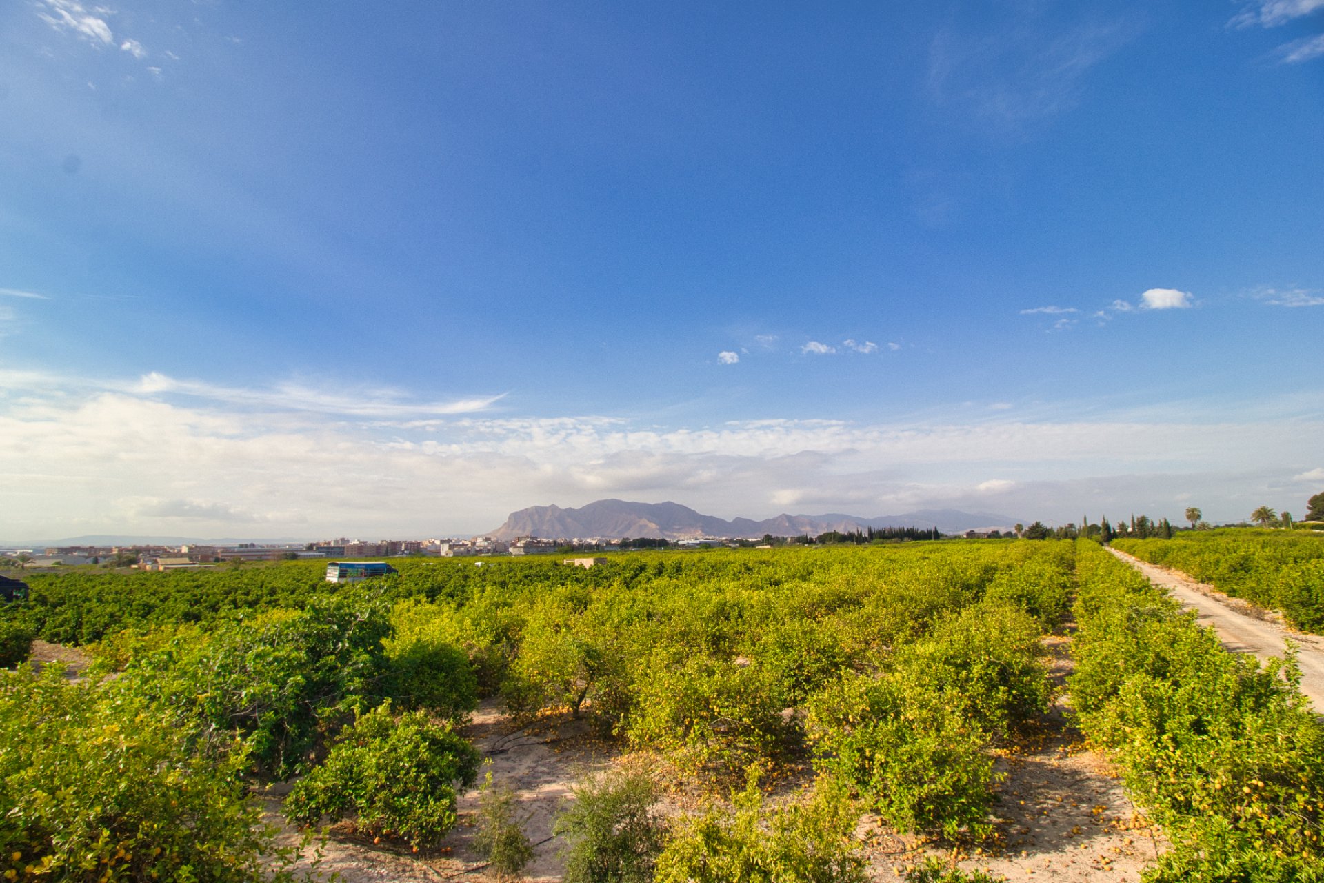 Resale - Plot of Land -
Albatera