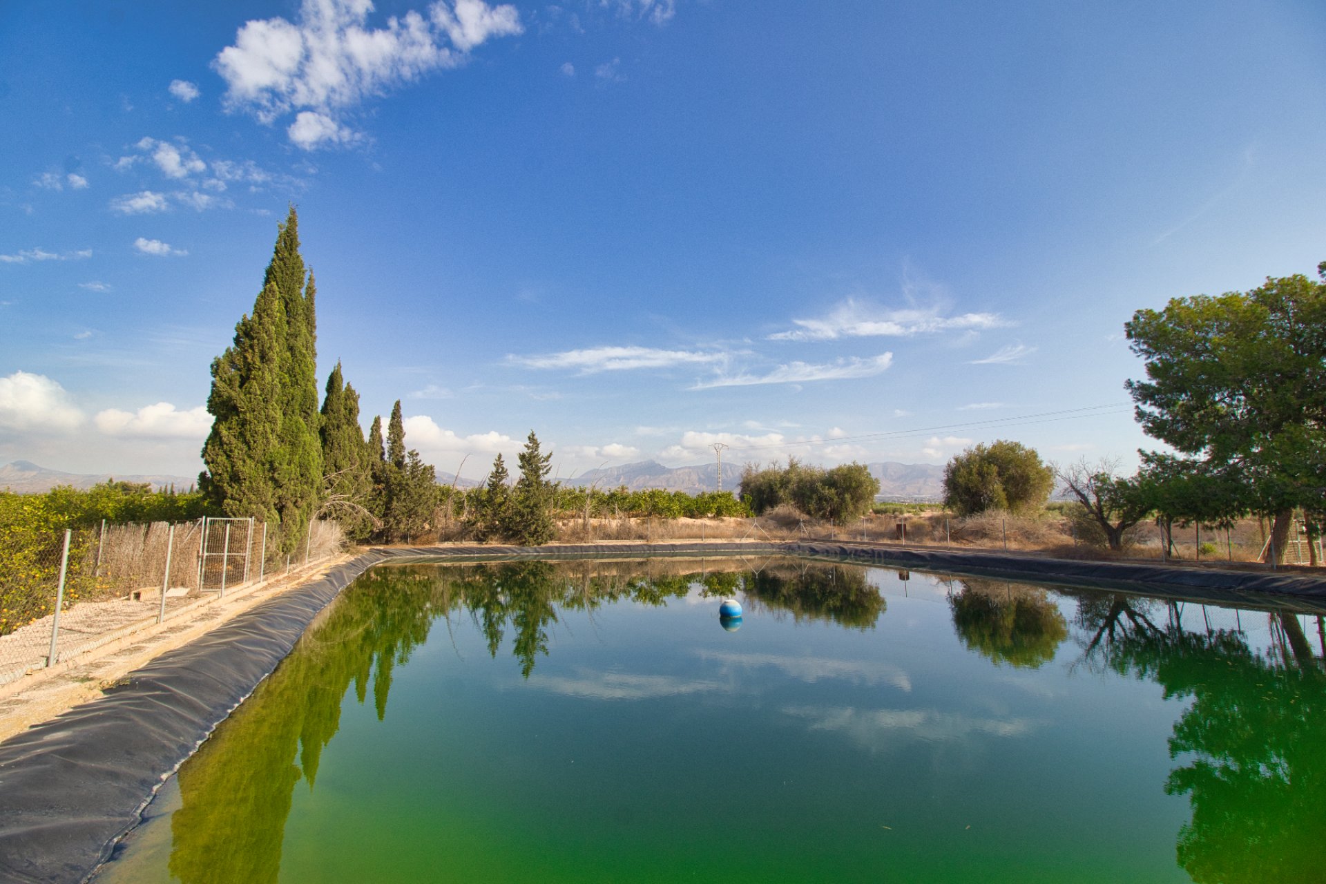 Resale - Plot of Land -
Albatera