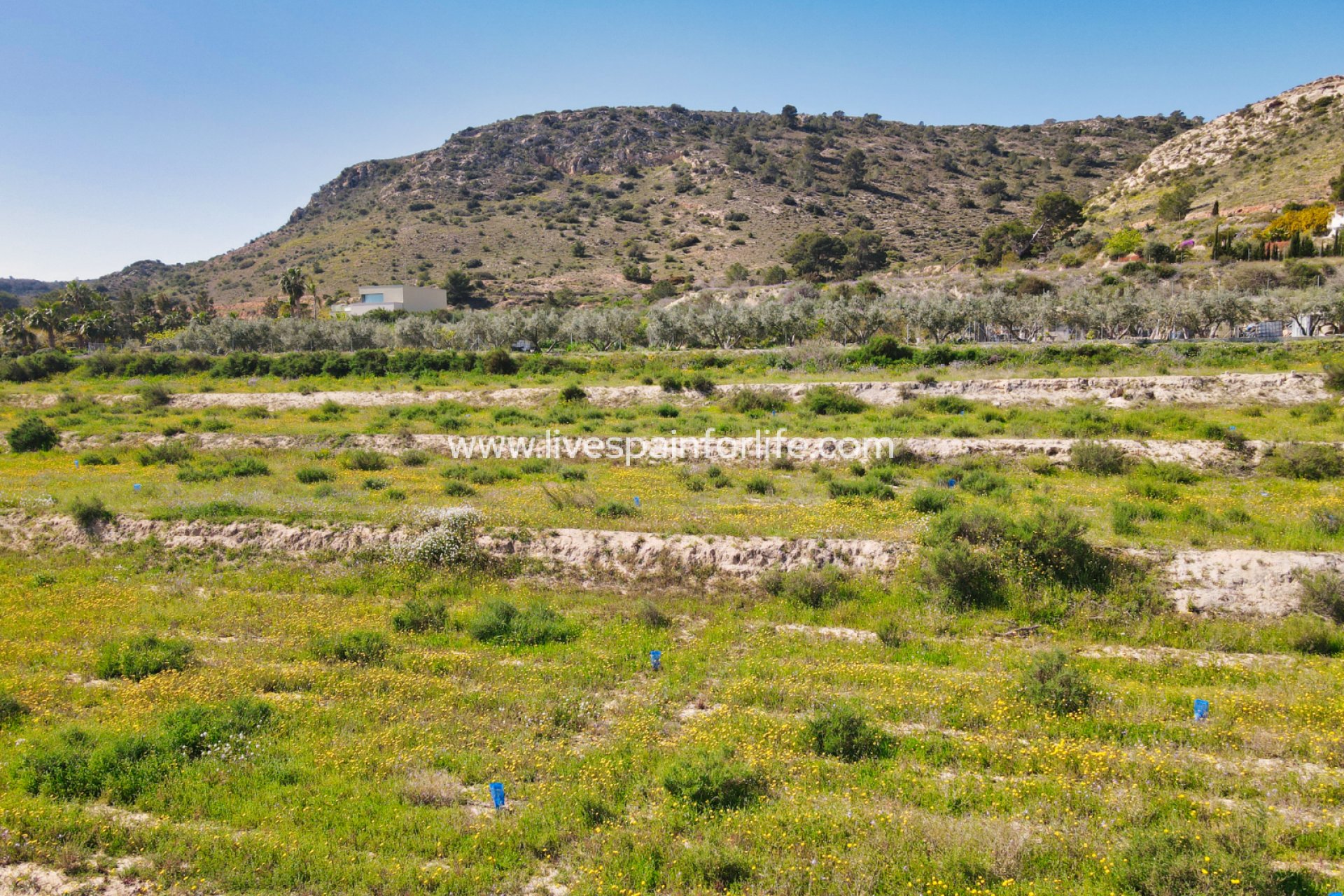 Resale - Plot of Land -
Aspe