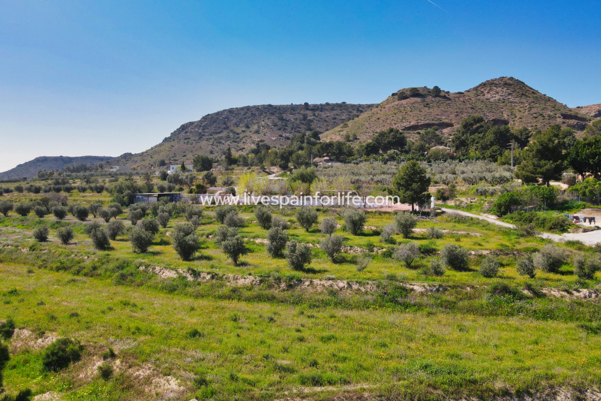 Resale - Plot of Land -
Aspe