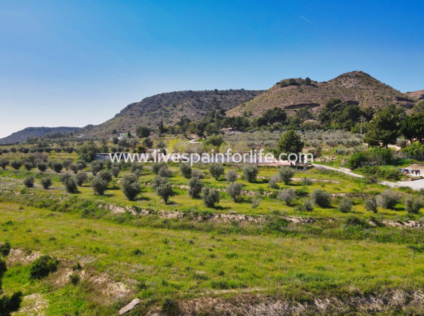 Resale - Plot of Land -
Aspe