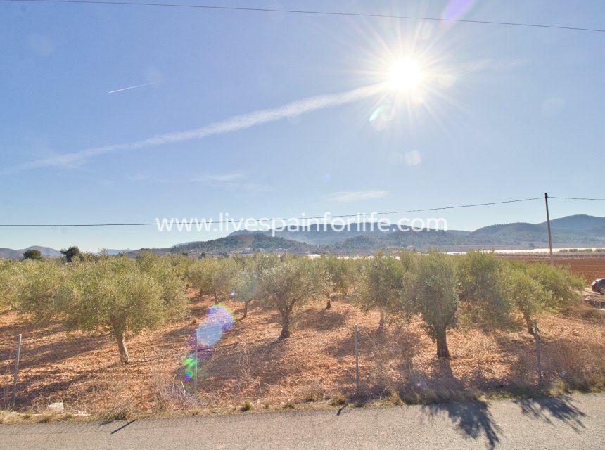 Resale - Plot of Land -
Hondon De Las Nieves