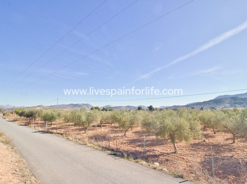 Resale - Plot of Land -
Hondon De Las Nieves