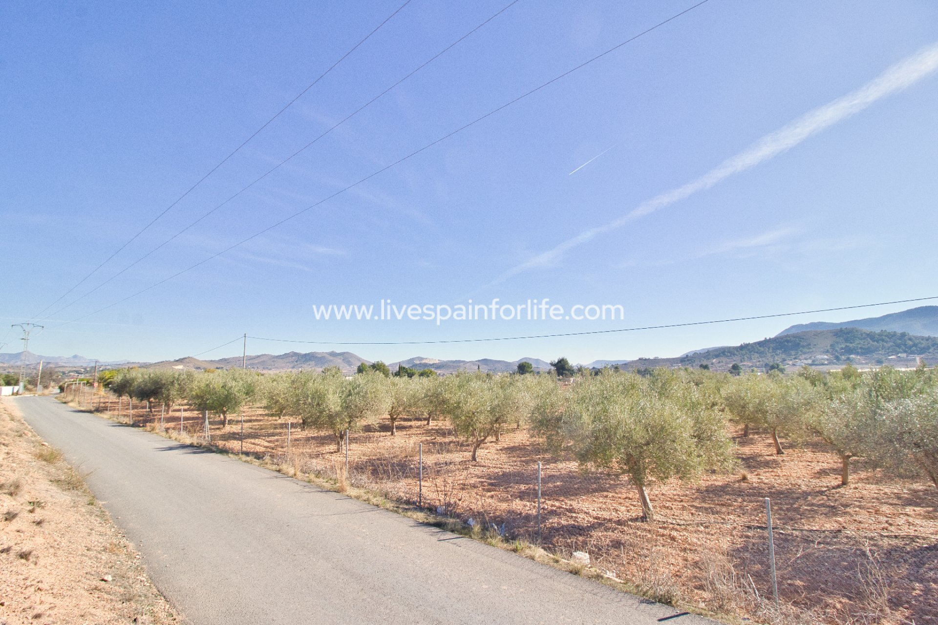 Resale - Plot of Land -
Hondon De Las Nieves
