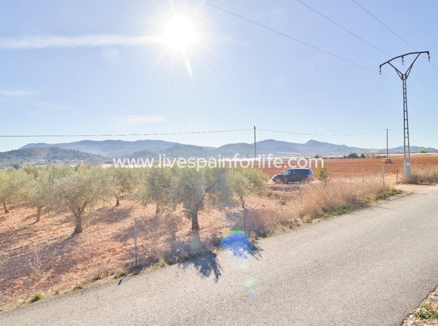 Resale - Plot of Land -
Hondon De Las Nieves