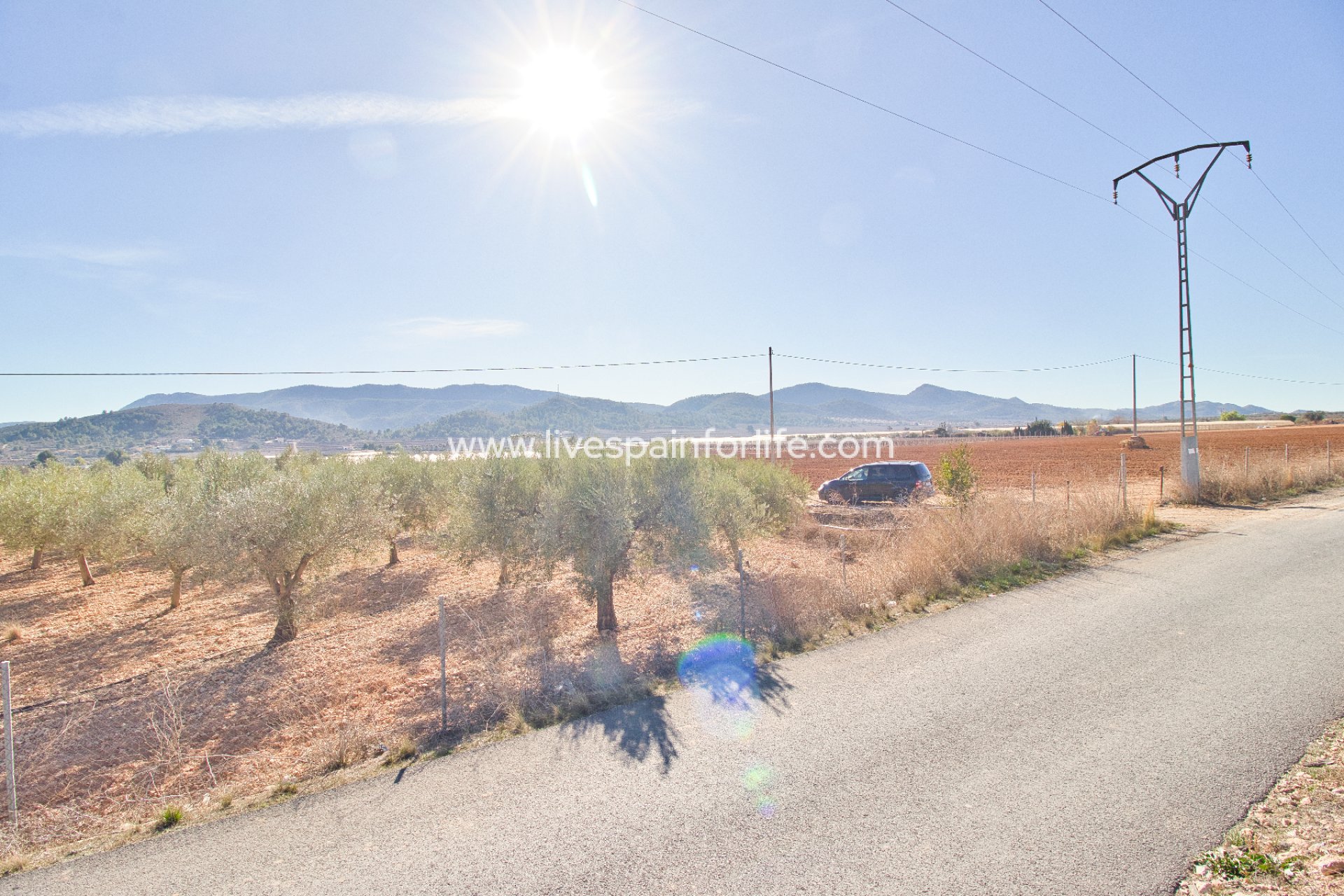 Resale - Plot of Land -
Hondon De Las Nieves