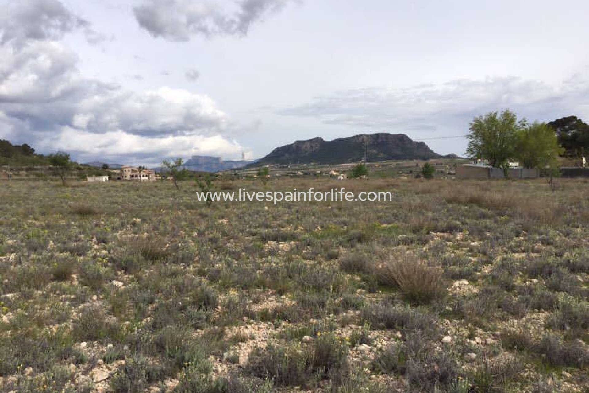 Resale - Plot of Land -
Salinas