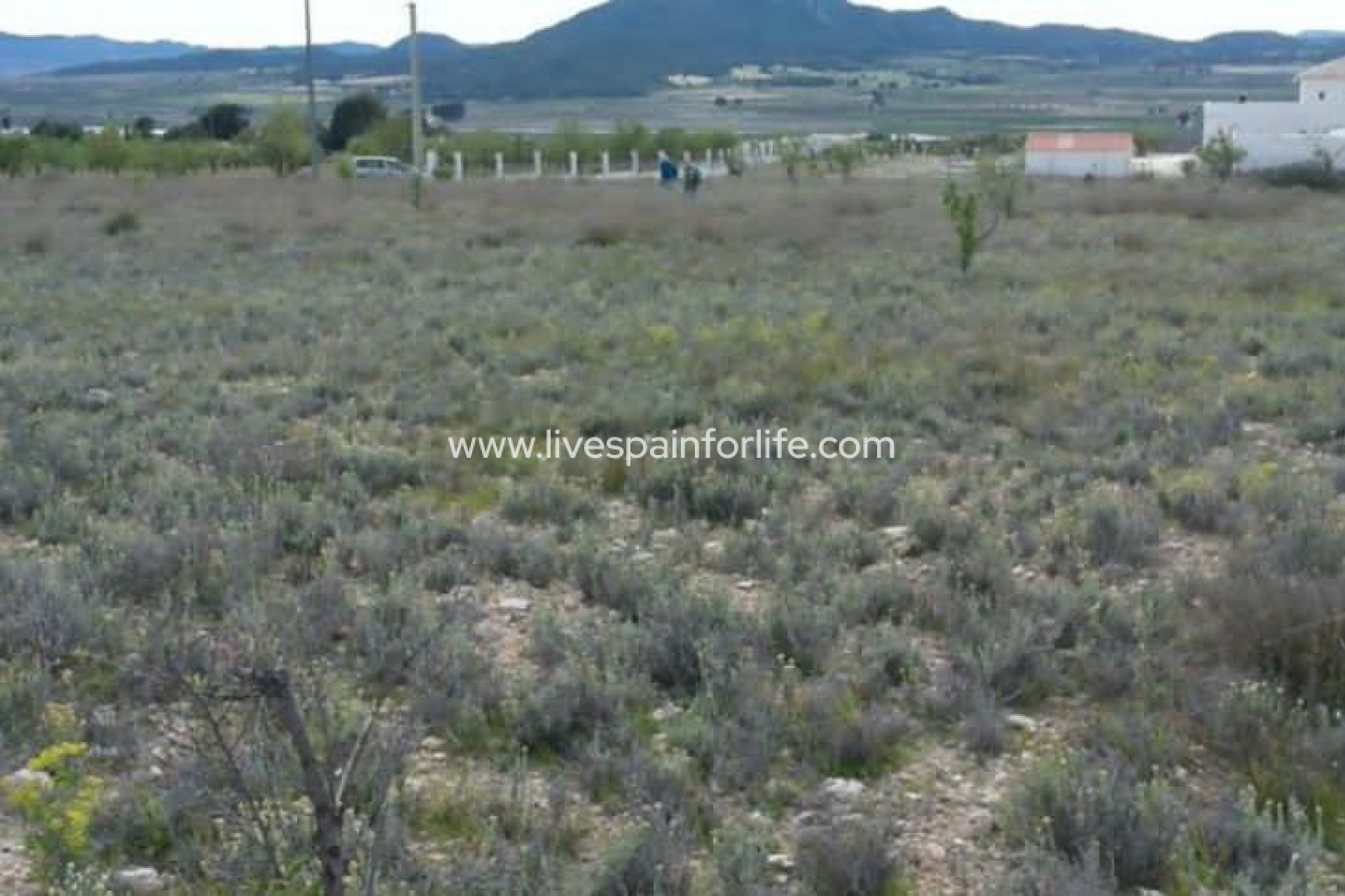 Resale - Plot of Land -
Salinas