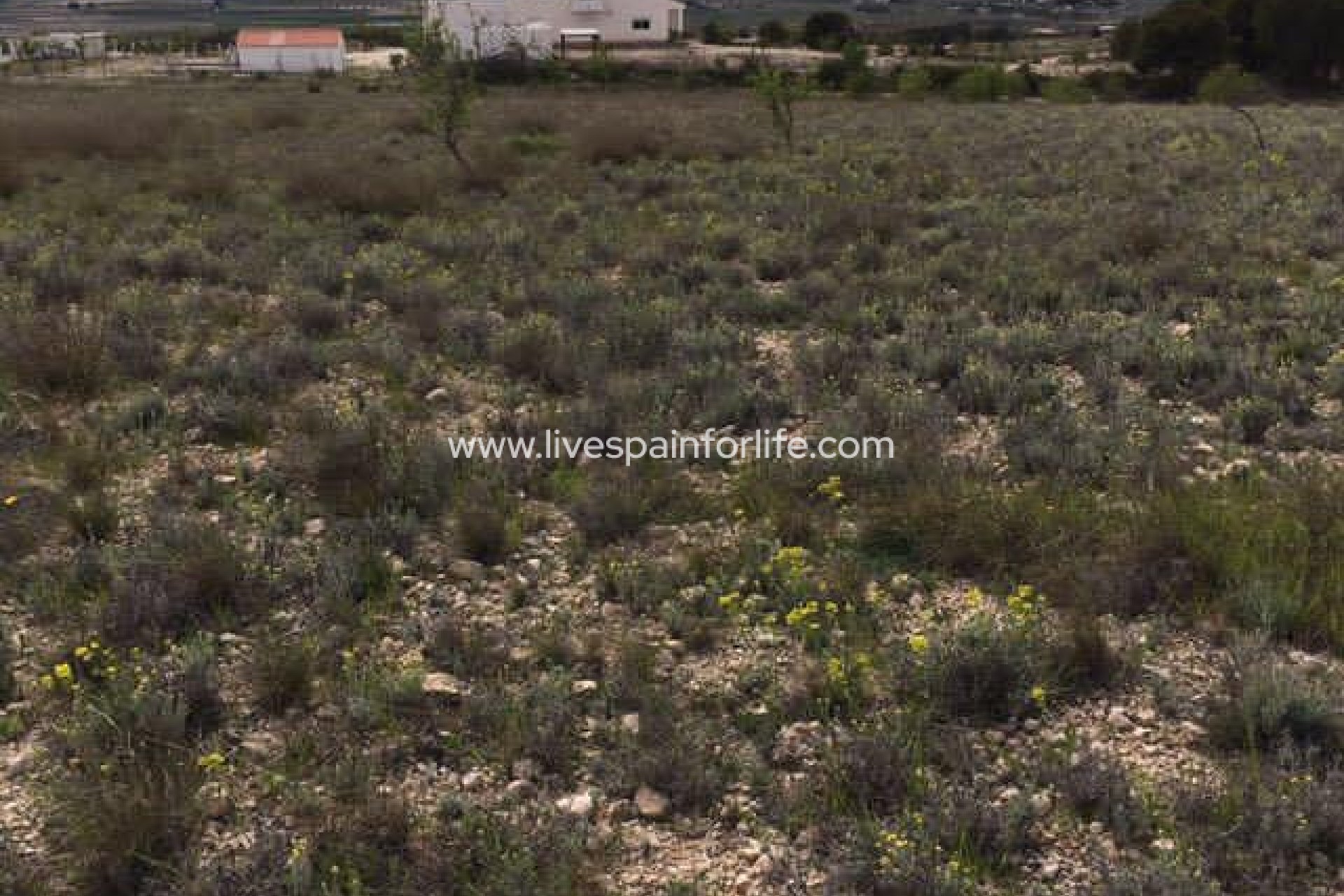 Resale - Plot of Land -
Salinas
