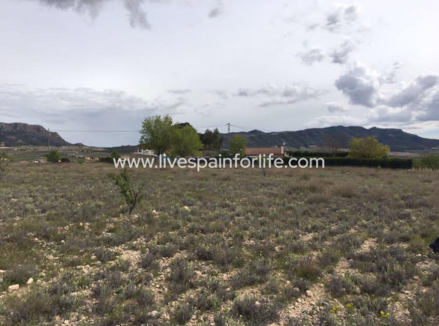 Resale - Plot of Land -
Salinas