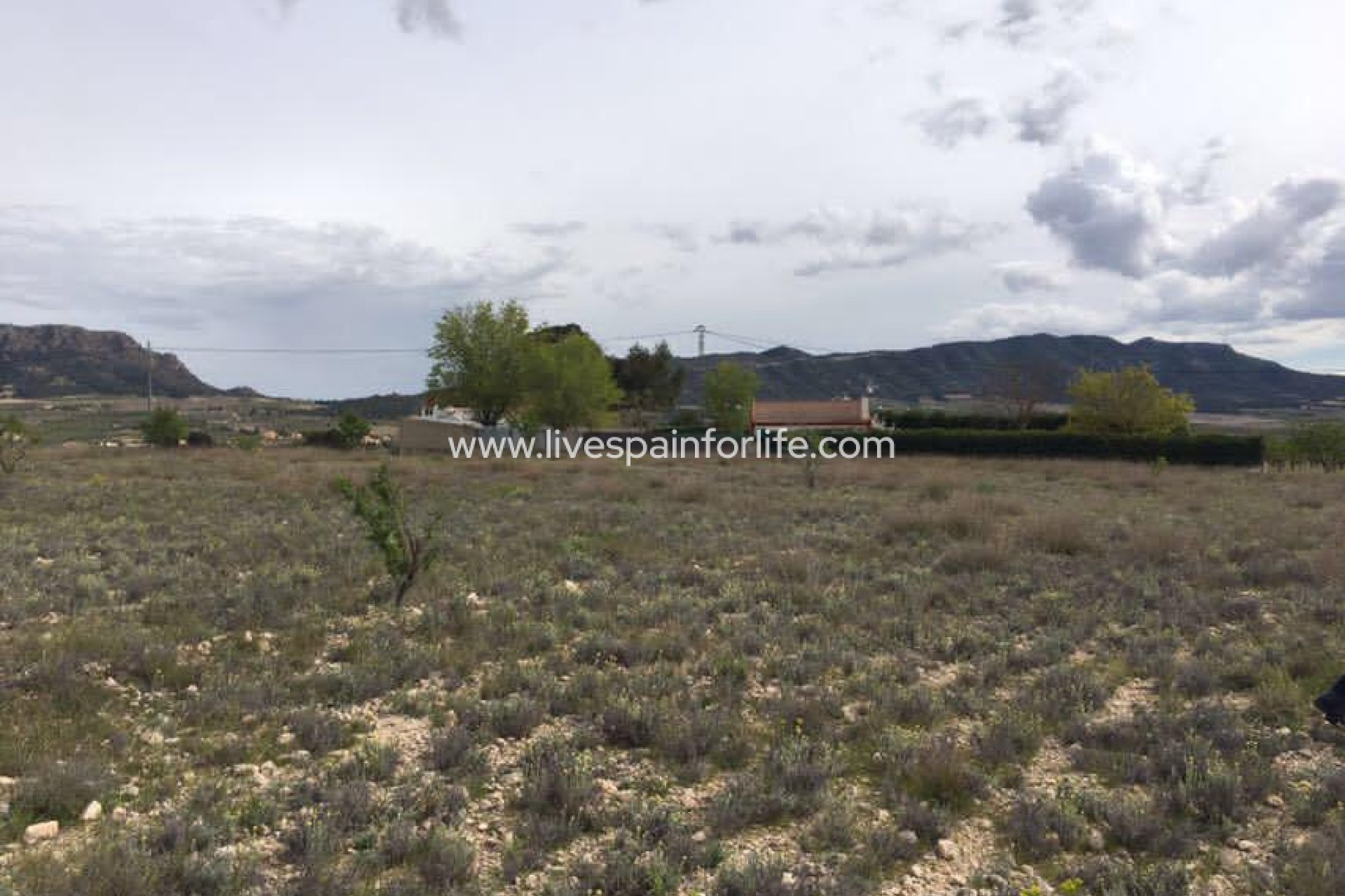 Resale - Plot of Land -
Salinas
